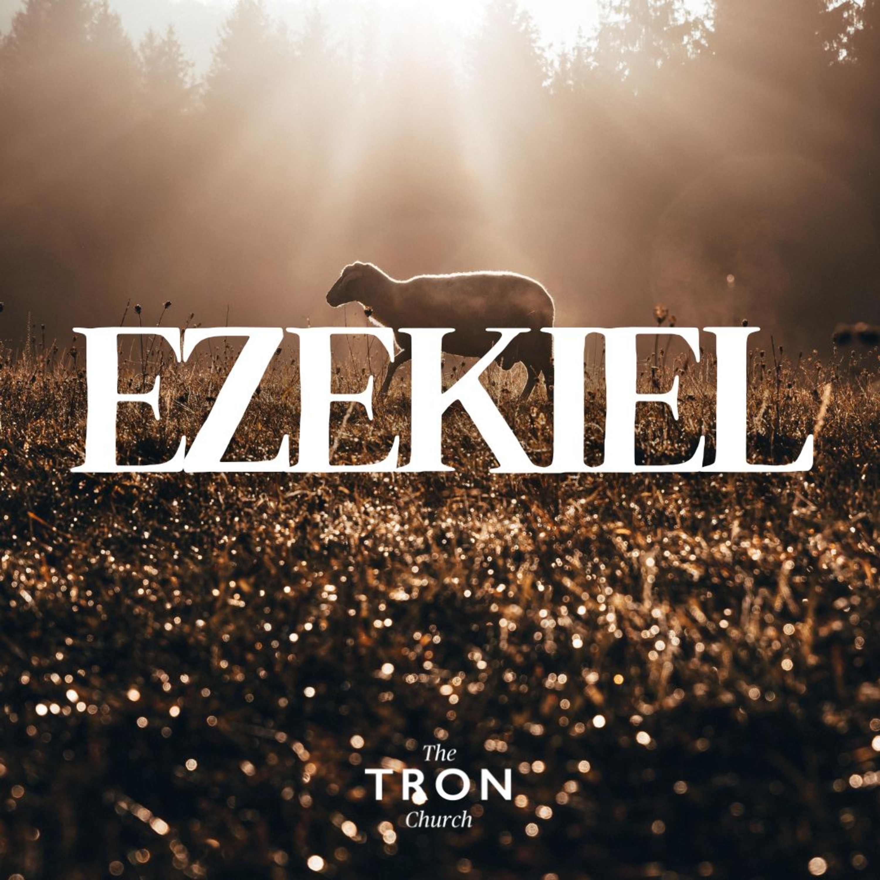 Ezekiel 34 // Earth's Ultimate Coronation