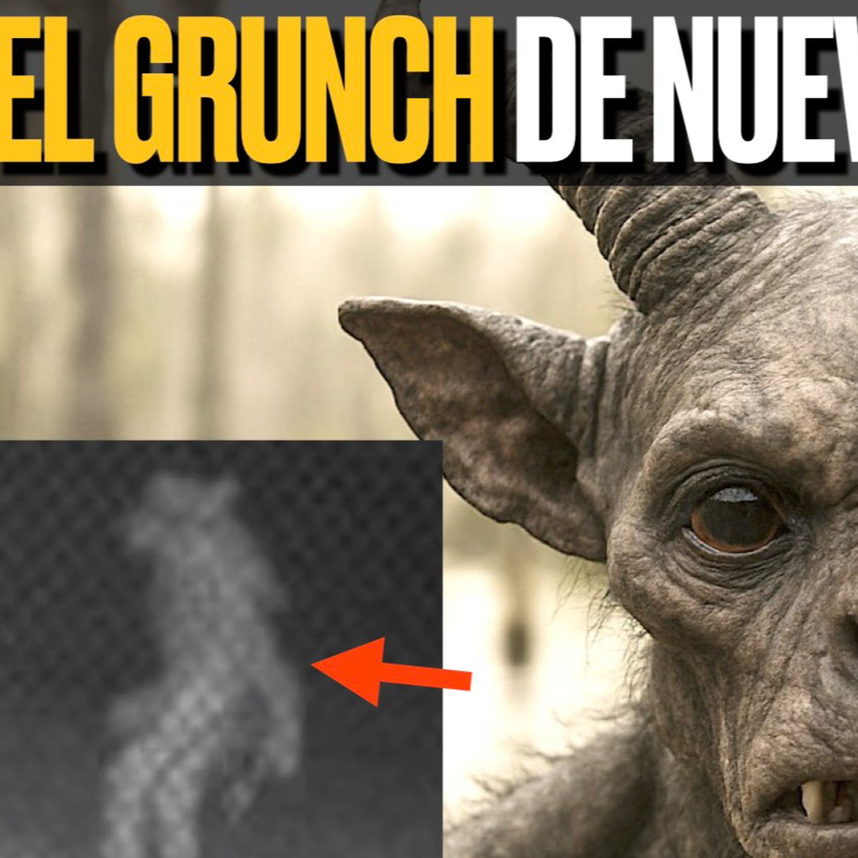 Misterios de la Criptozoología: El Grunch de Nueva Orleans y su Macabro Origen episode artwork