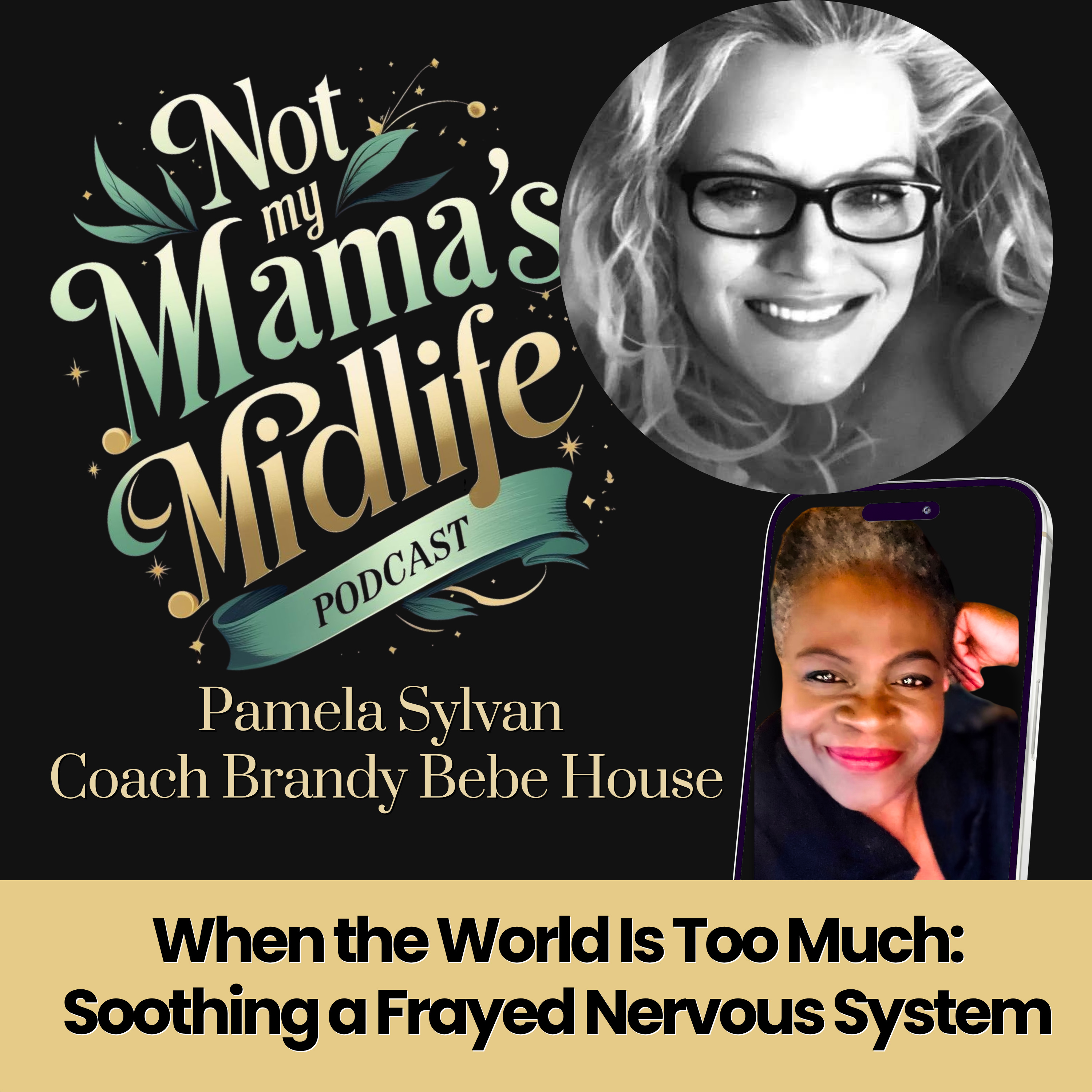 When the World Is Too Much: Soothing a Frayed Nervous System  episode artwork