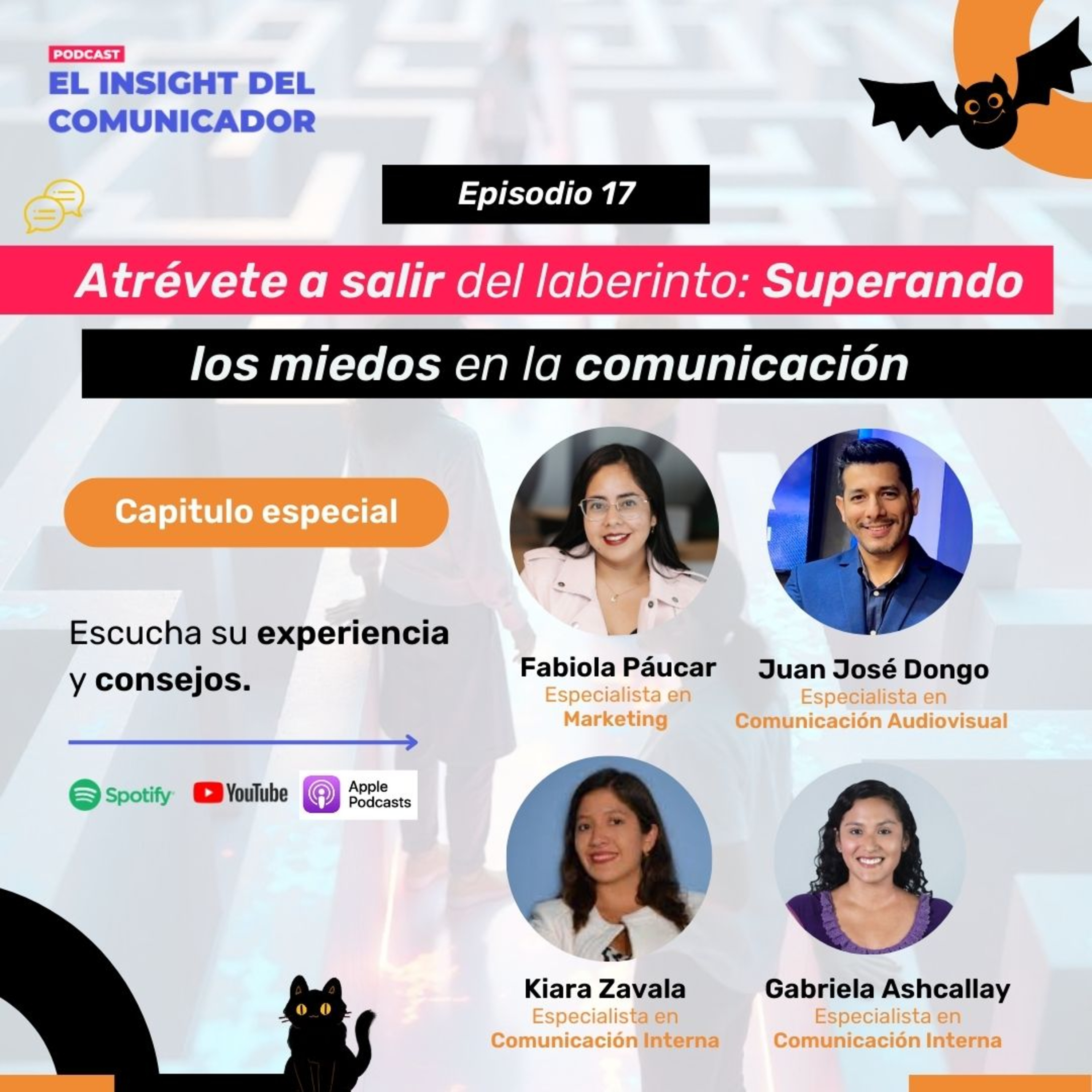 El Insight del Comunicador