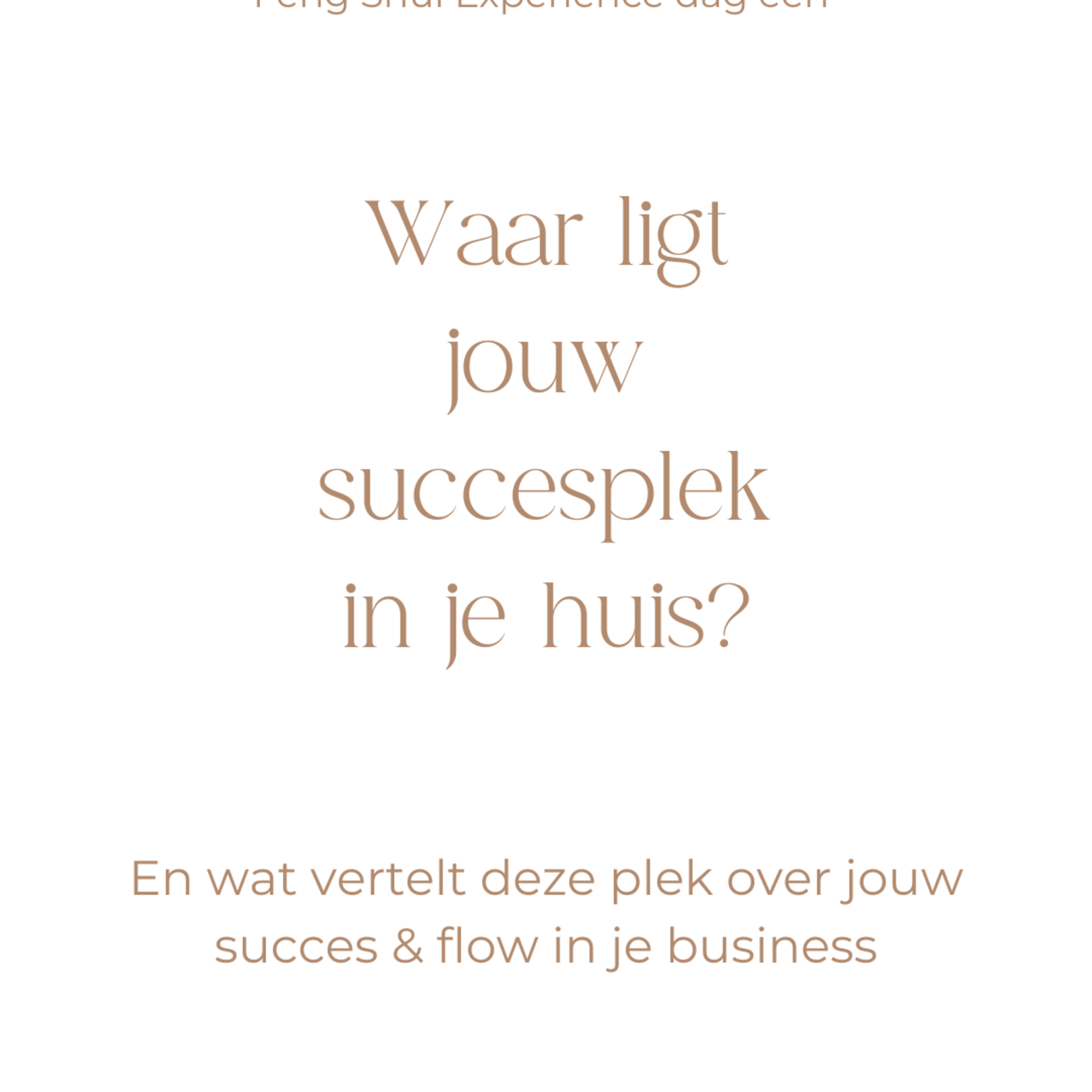 Flowtastic Talks met An Sterken | Feng Shui, BaZi and More