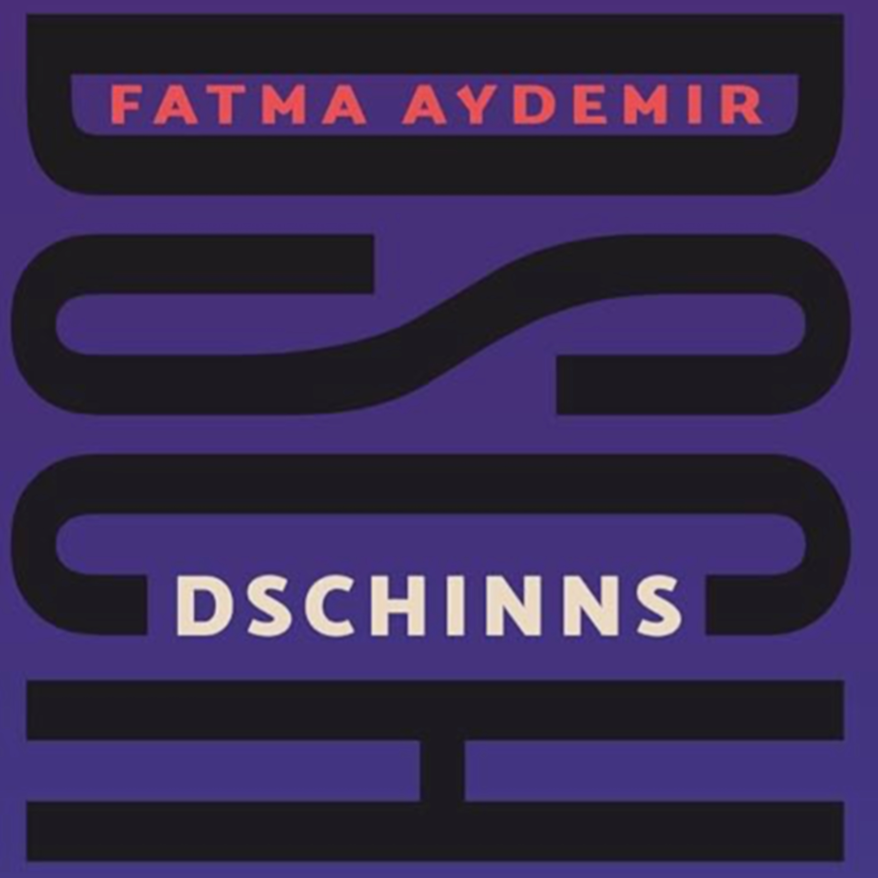 166. Dschinns - Interview mit Fatma Aydemir - Abitur 2027 episode artwork