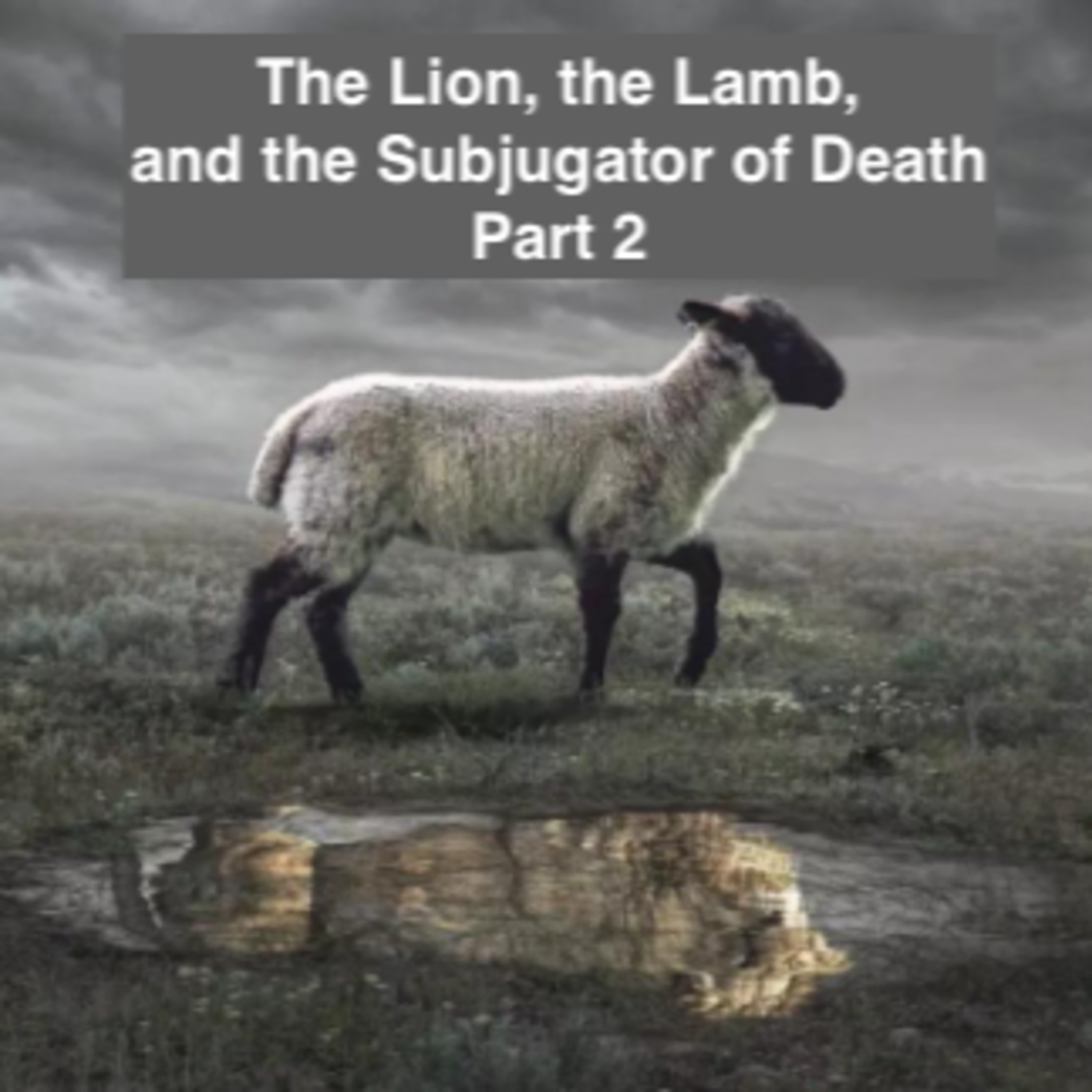 The Christian Theological Dark Web Podcast