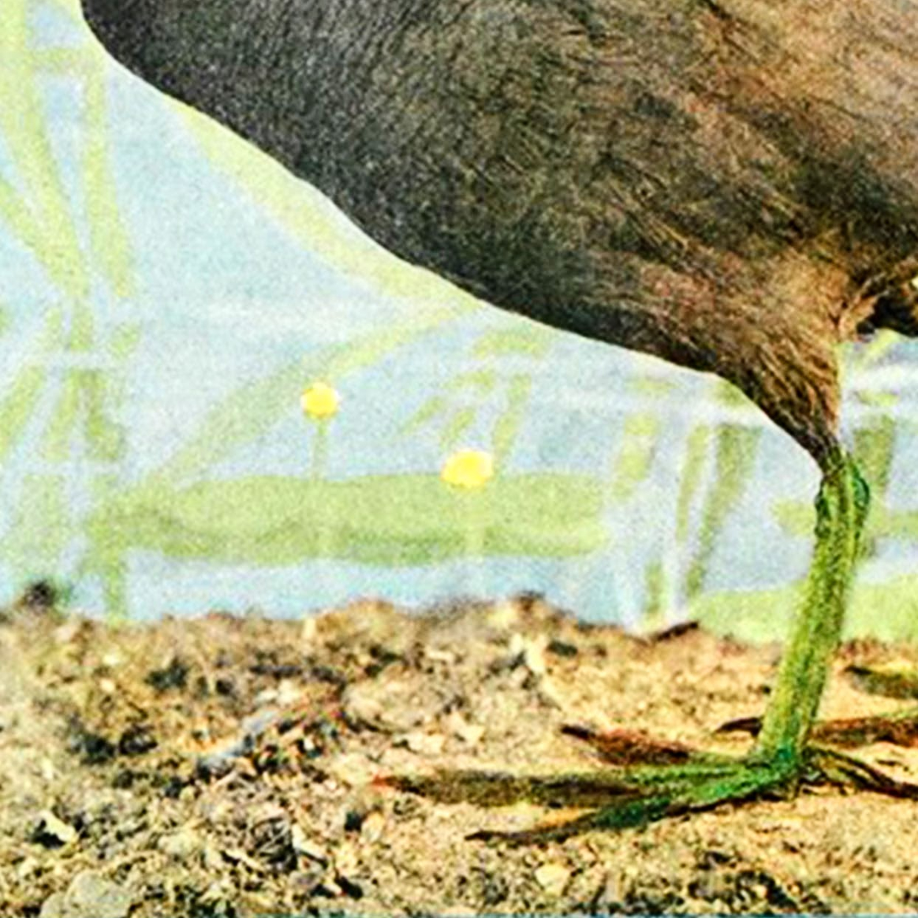 ミモリラジオ-自然の面白さを聴く