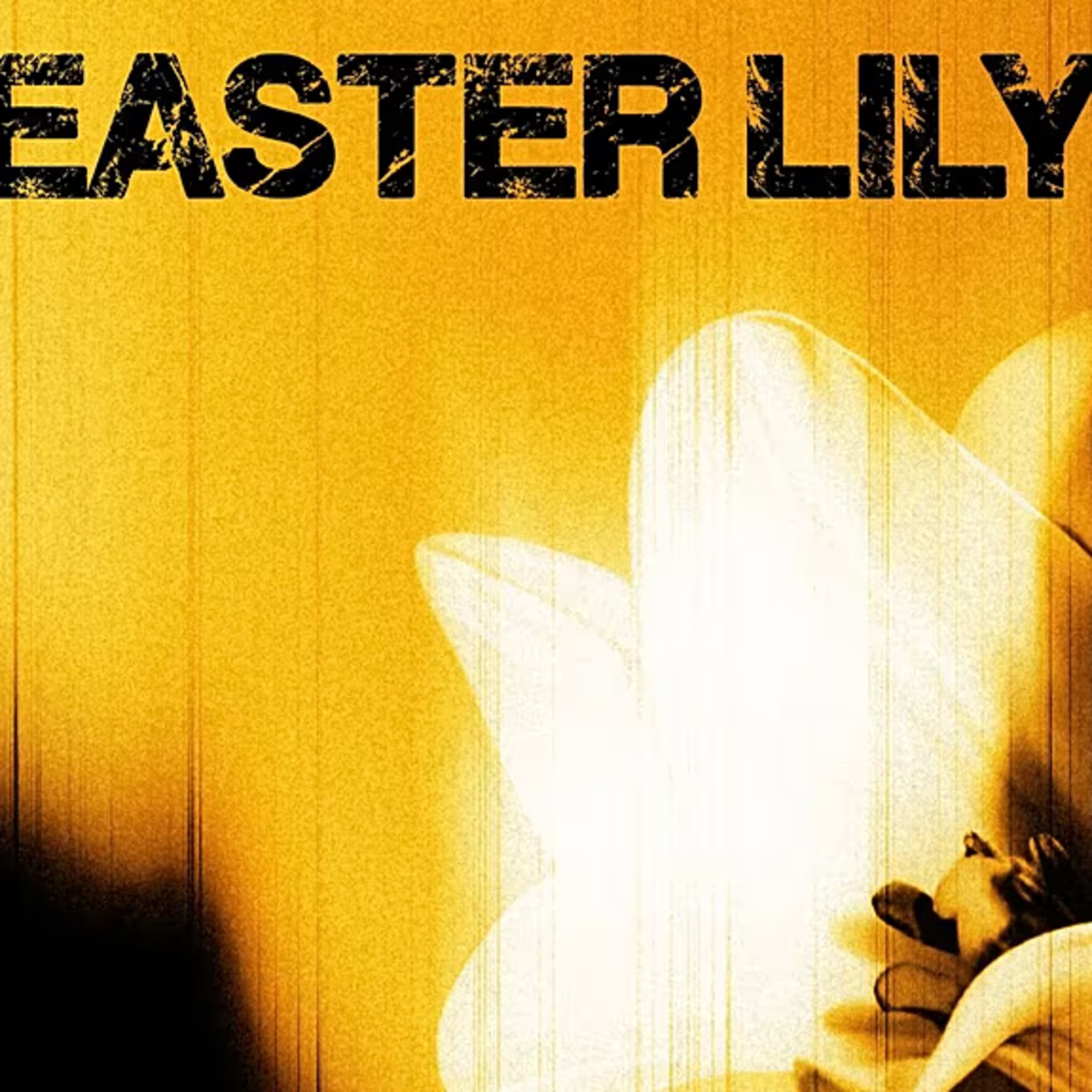 U2 lanza por sorpresa el EP 'Easter Lily' en Viernes Santo episode artwork