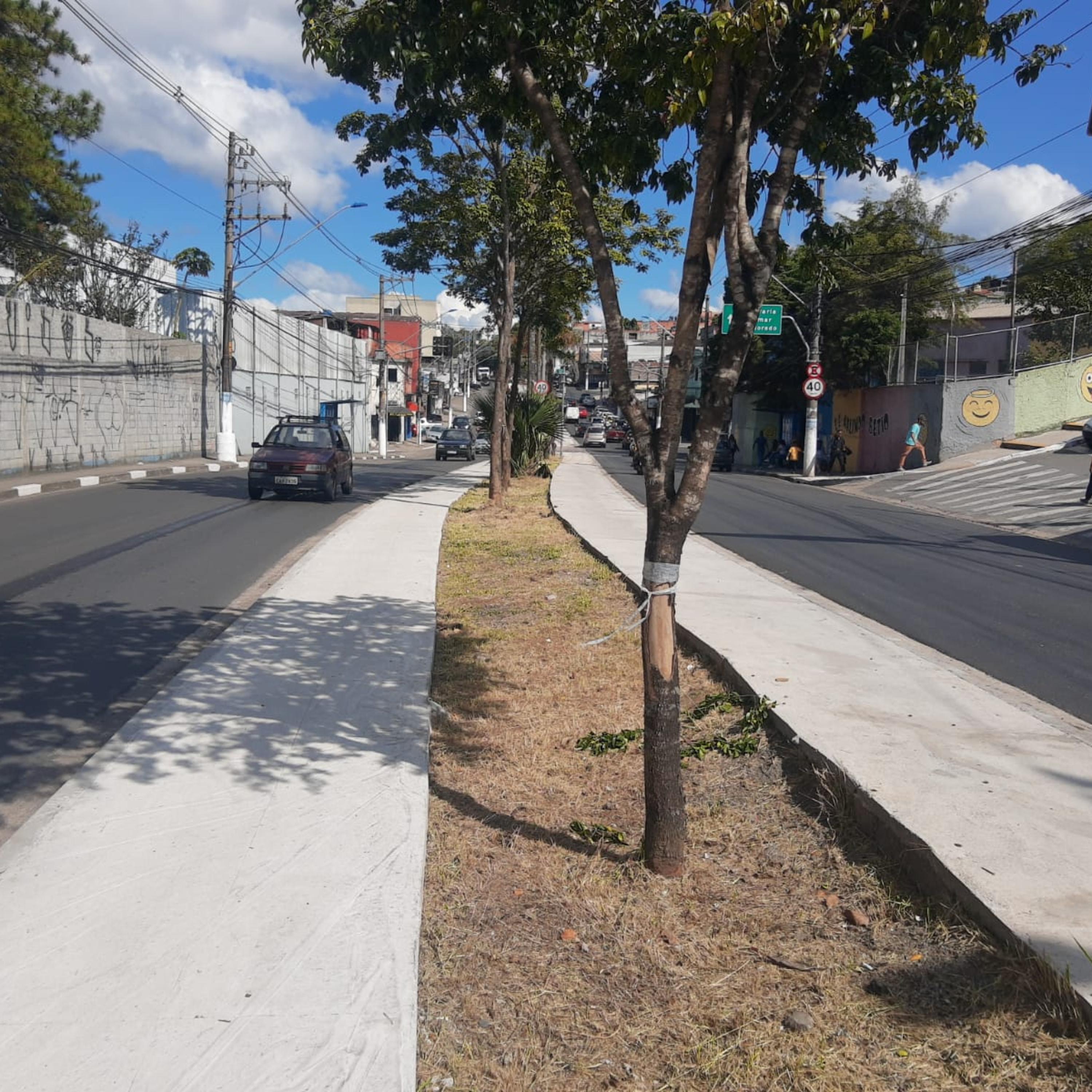 Prefeitura de Diadema esnoba moradores e comerciantes e instala ciclofaixas na Avenida Casa Grande episode artwork