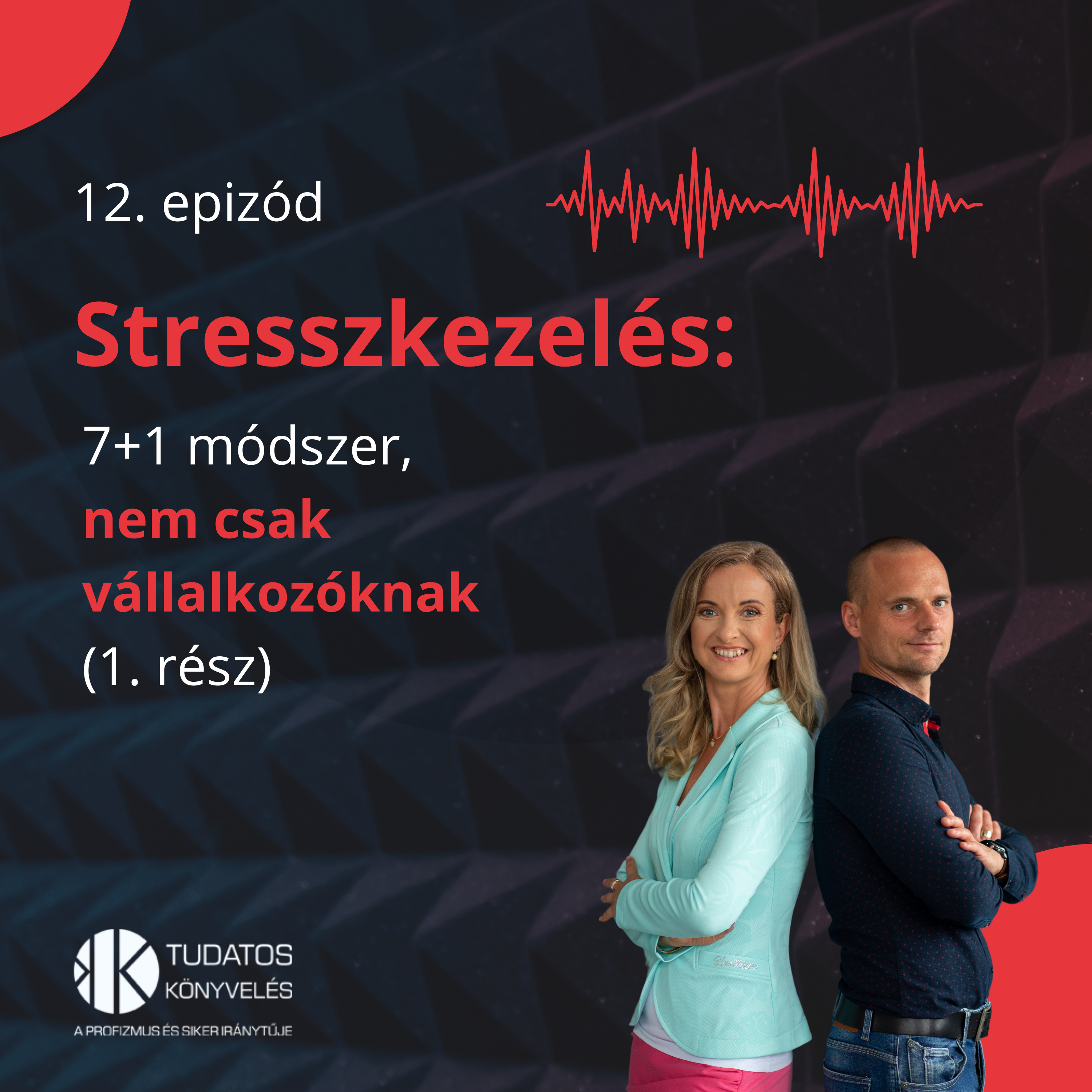 12. A 7+1 legjobb stresszkezelési módszer vállalkozóknak (1. rész) episode artwork