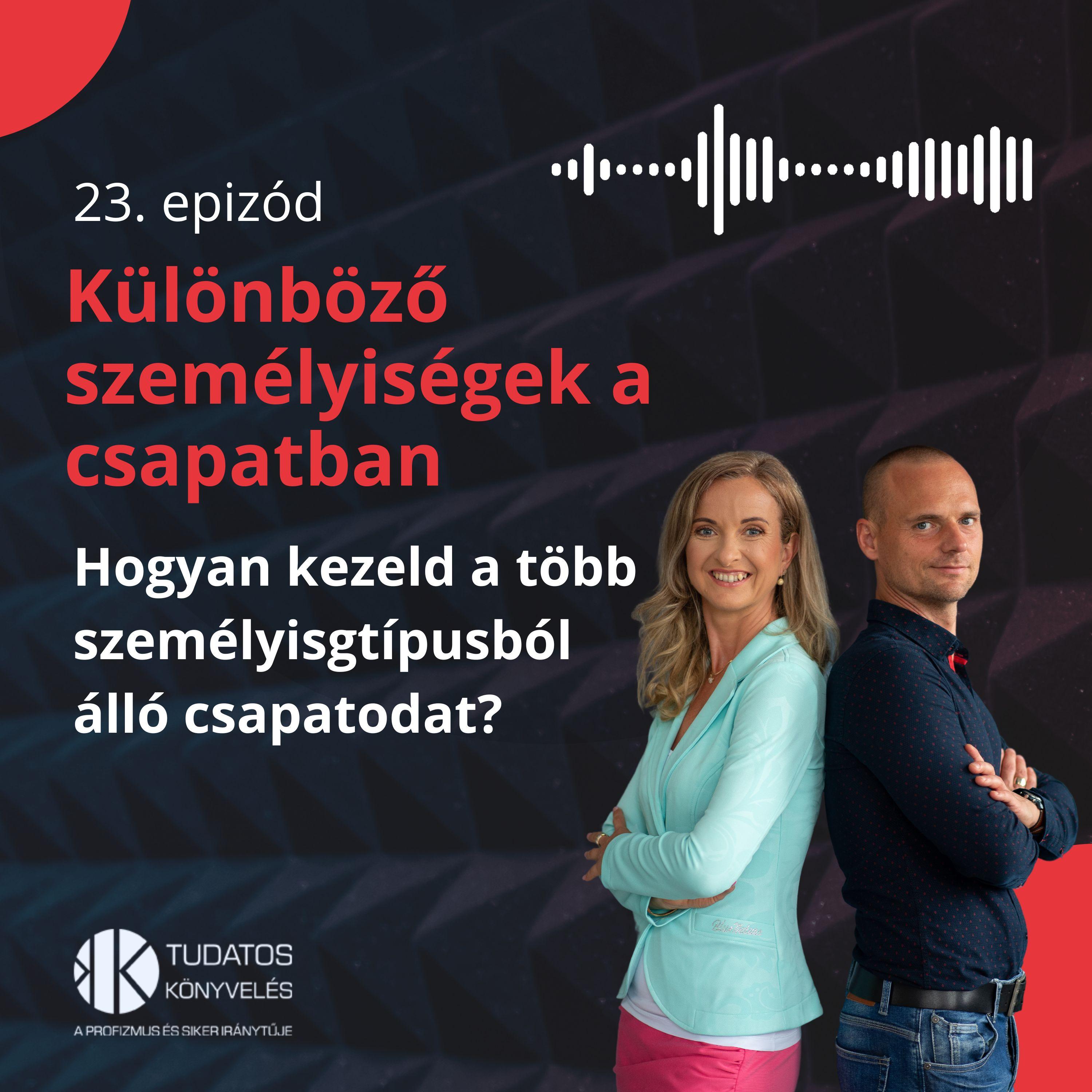 23. Hogyan kezeld a több személyiségből álló csapatodat? episode artwork
