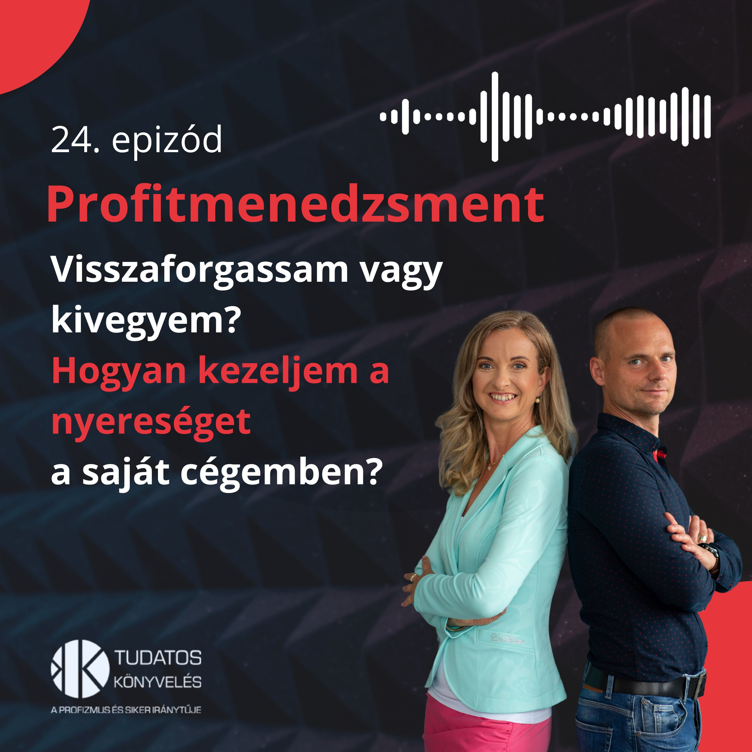 24. Profitmenedzsment: visszaforgassam vagy kivegyem a nyereséget a cégemből? episode artwork