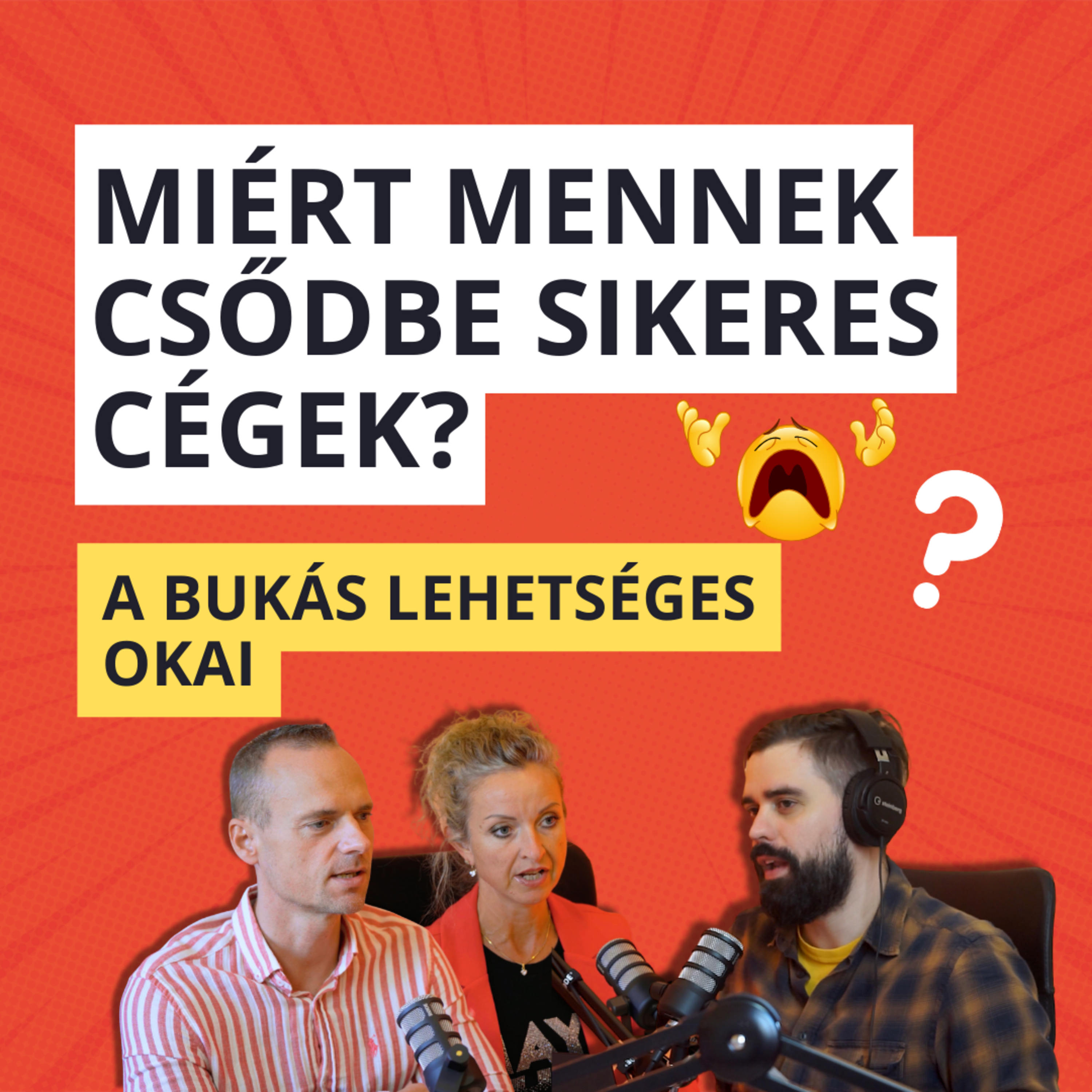 30. Miért mennek csődbe sikeres cégek? (A bukás lehetséges okai) episode artwork