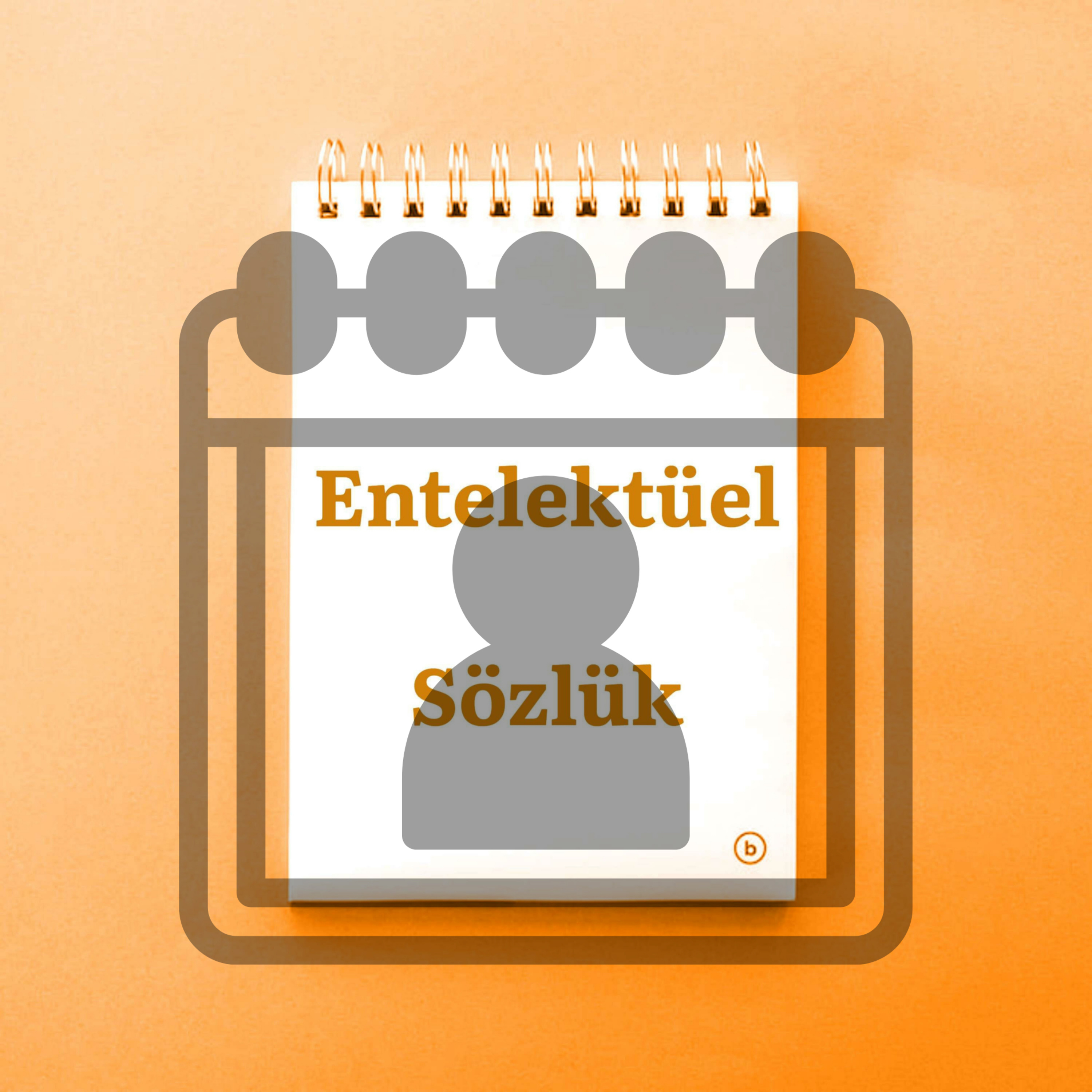 Entelektüel Sözlük