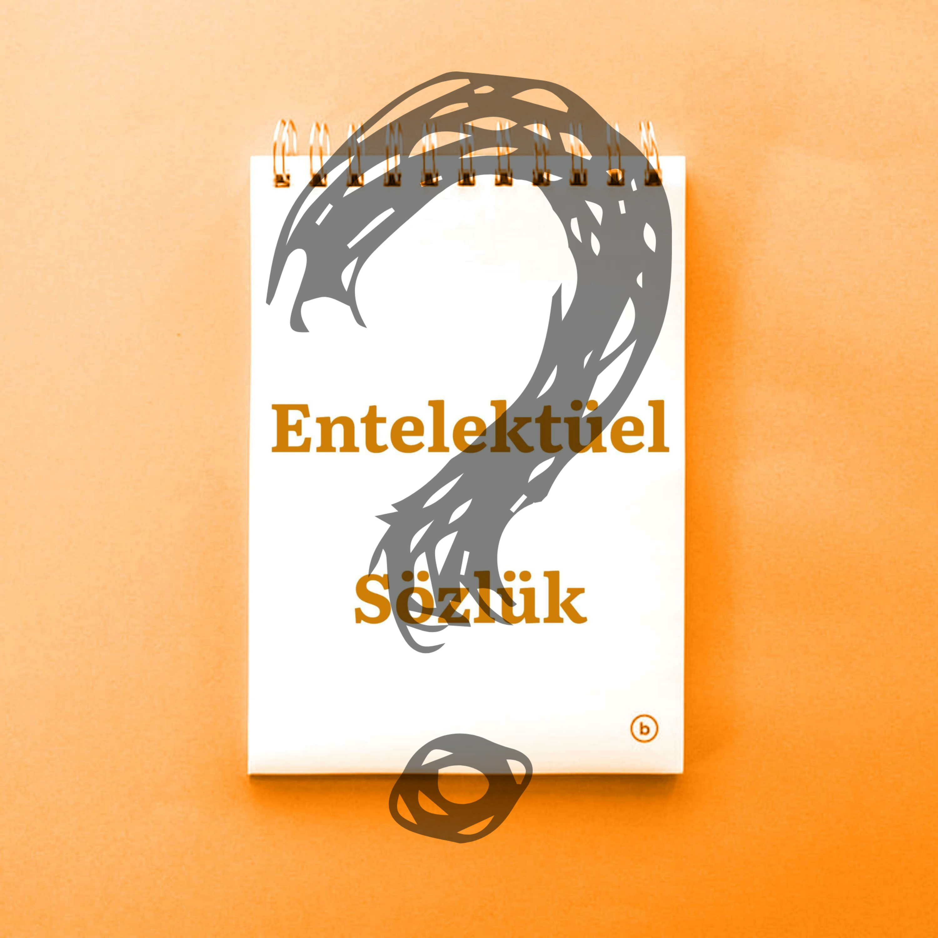 Entelektüel Sözlük
