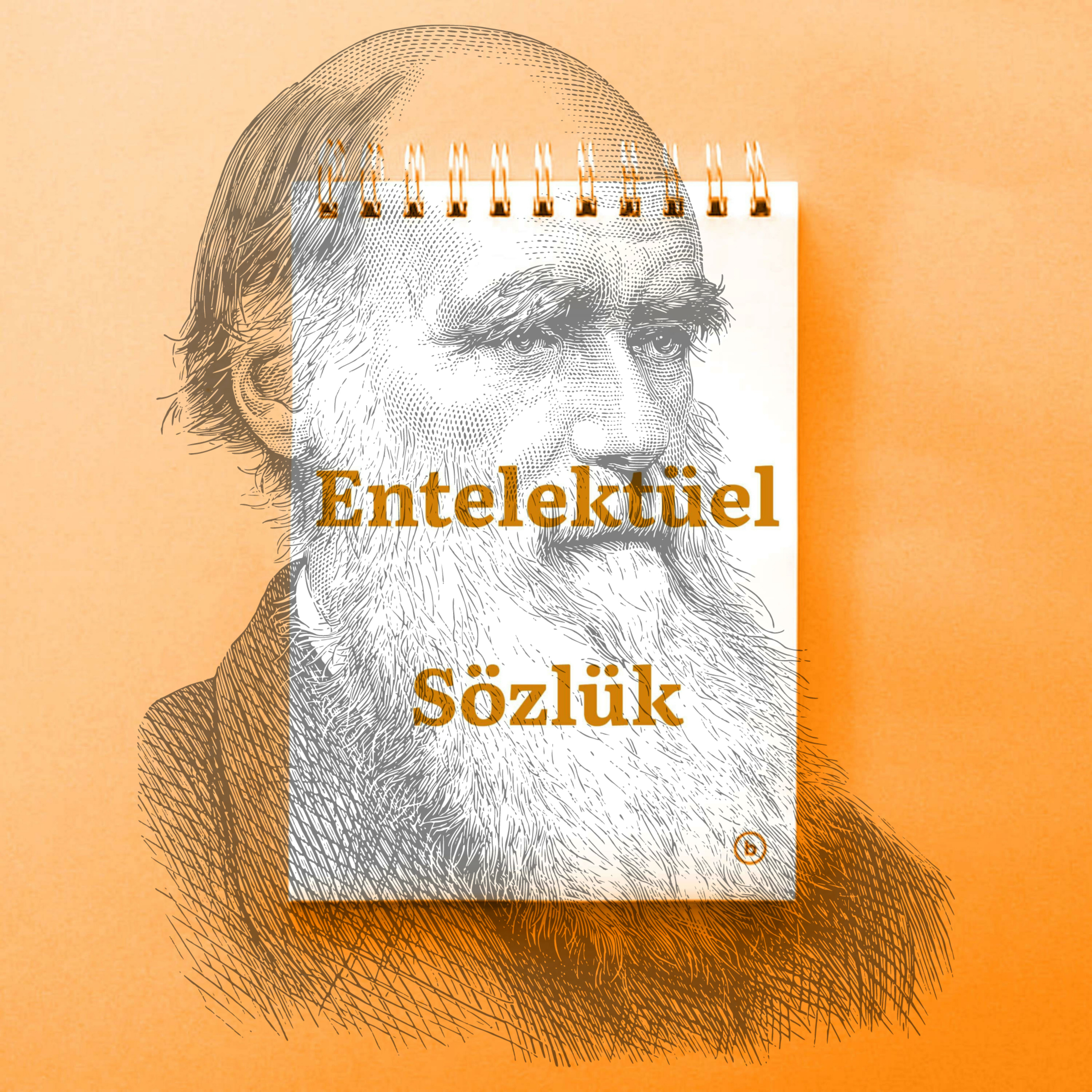 Entelektüel Sözlük