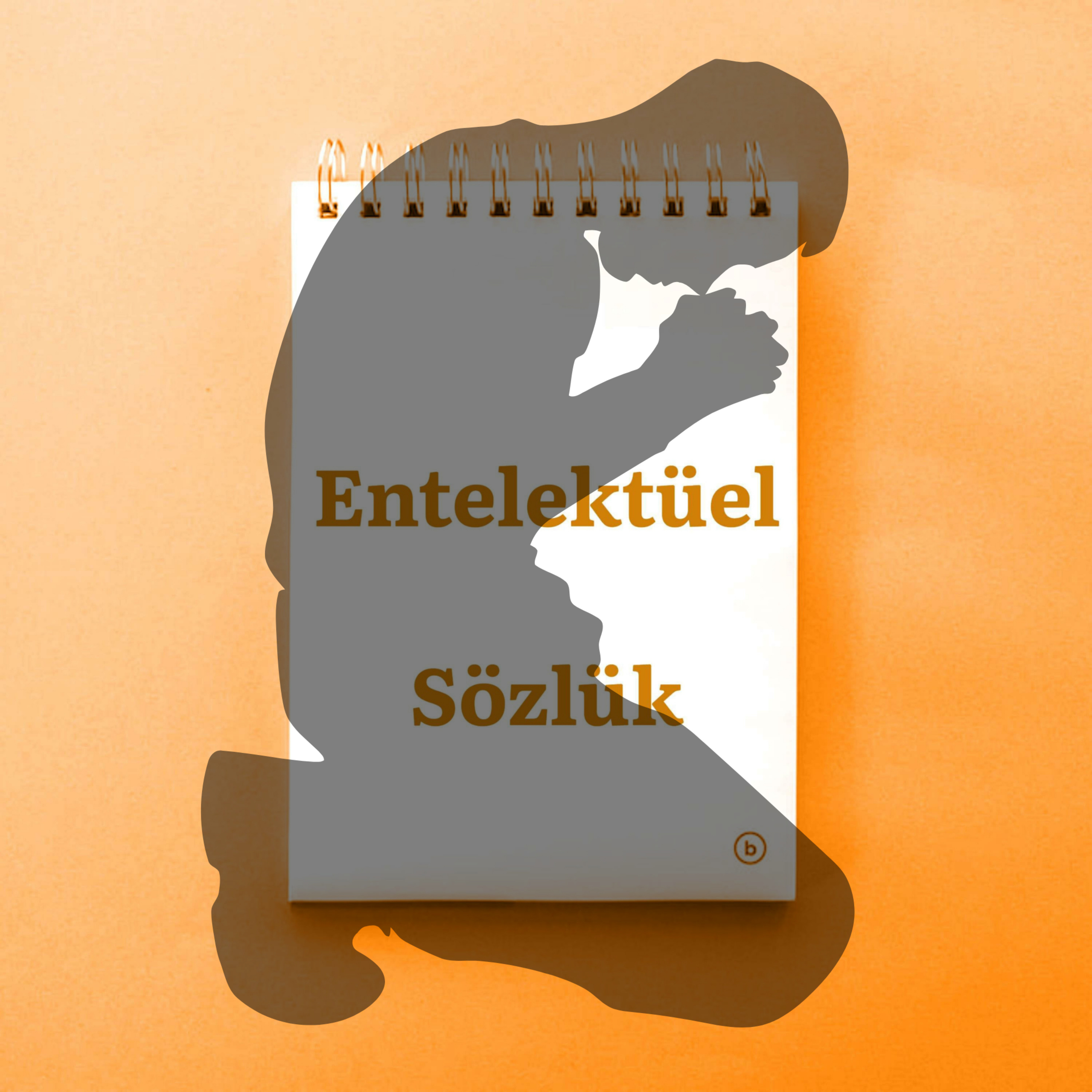 Entelektüel Sözlük