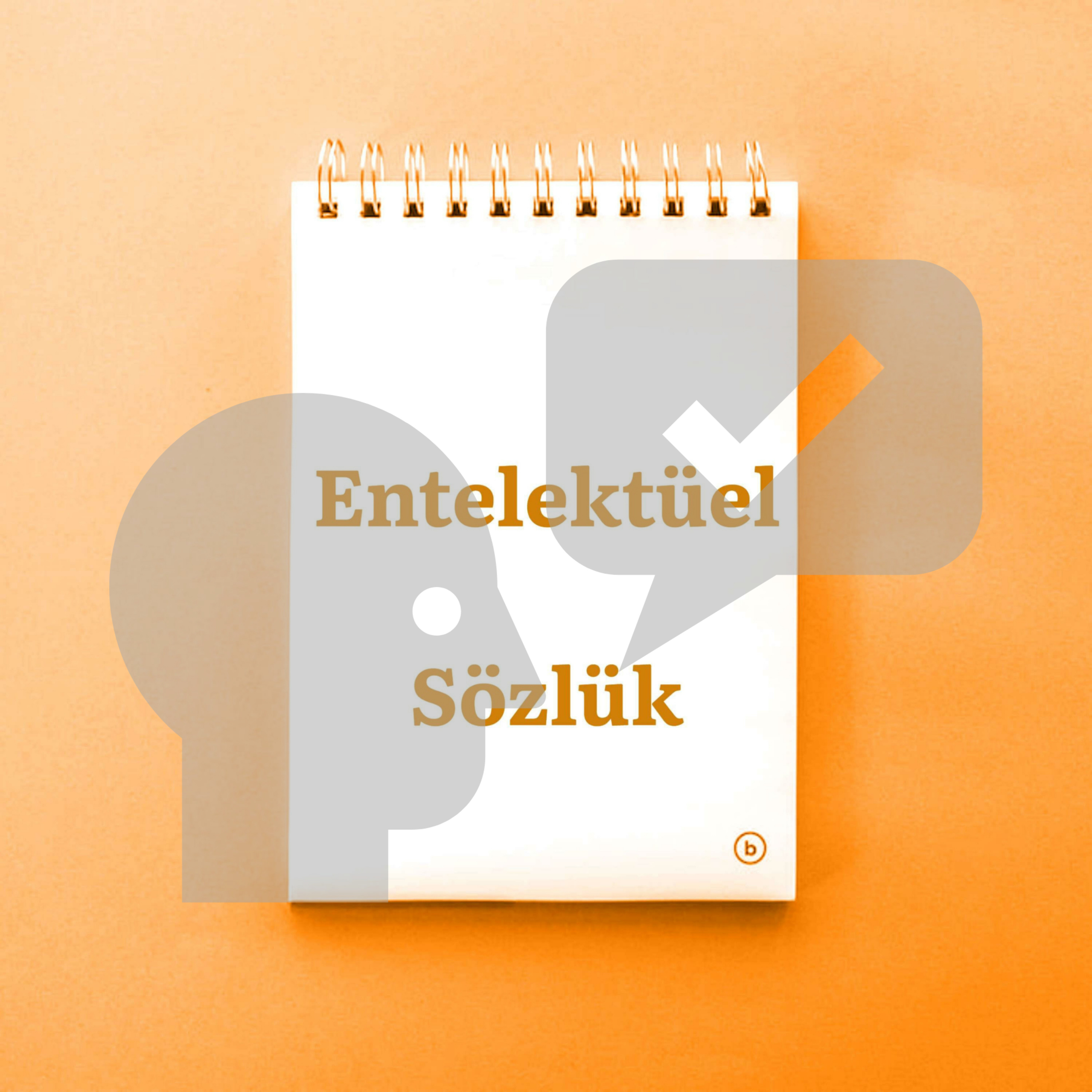 Entelektüel Sözlük