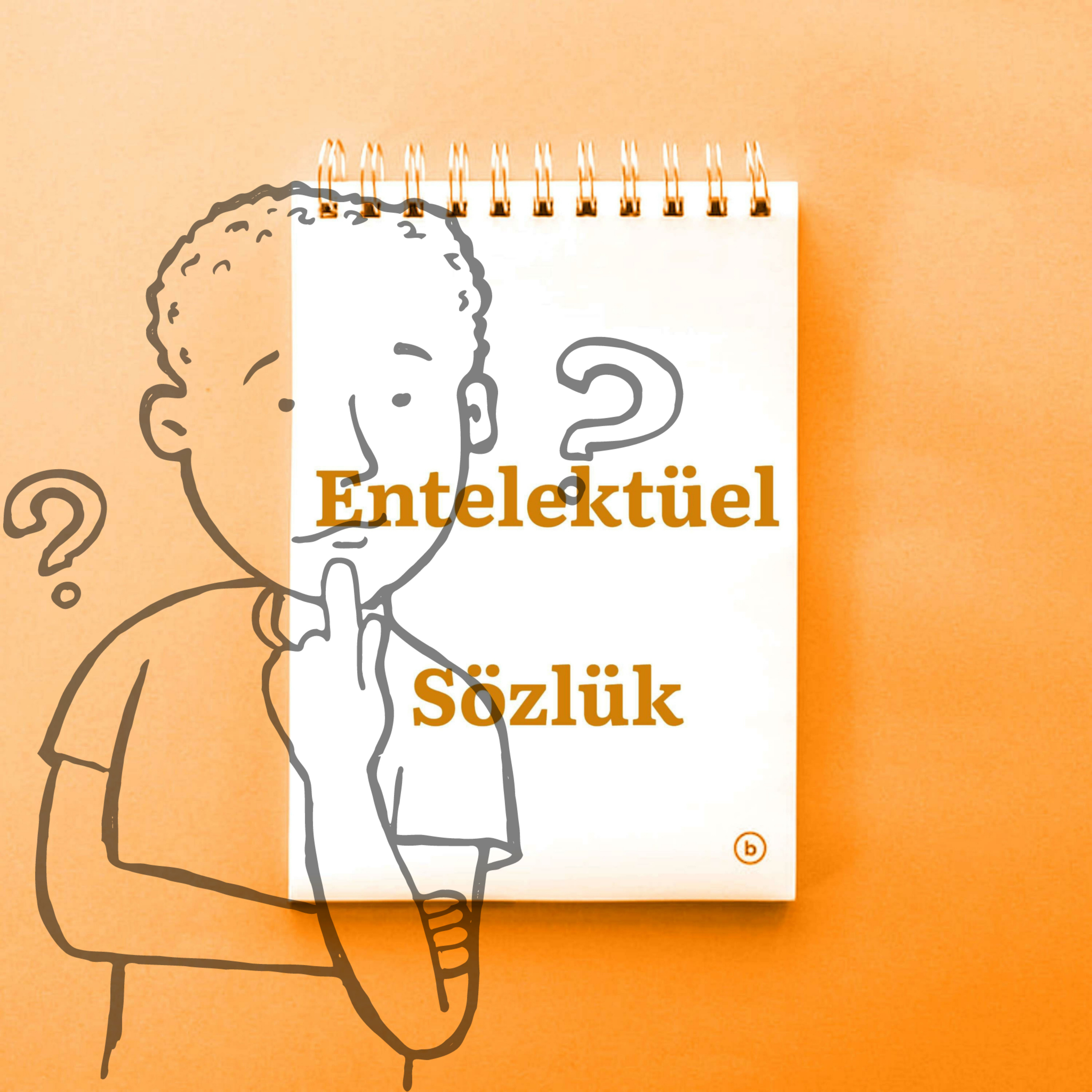 Entelektüel Sözlük