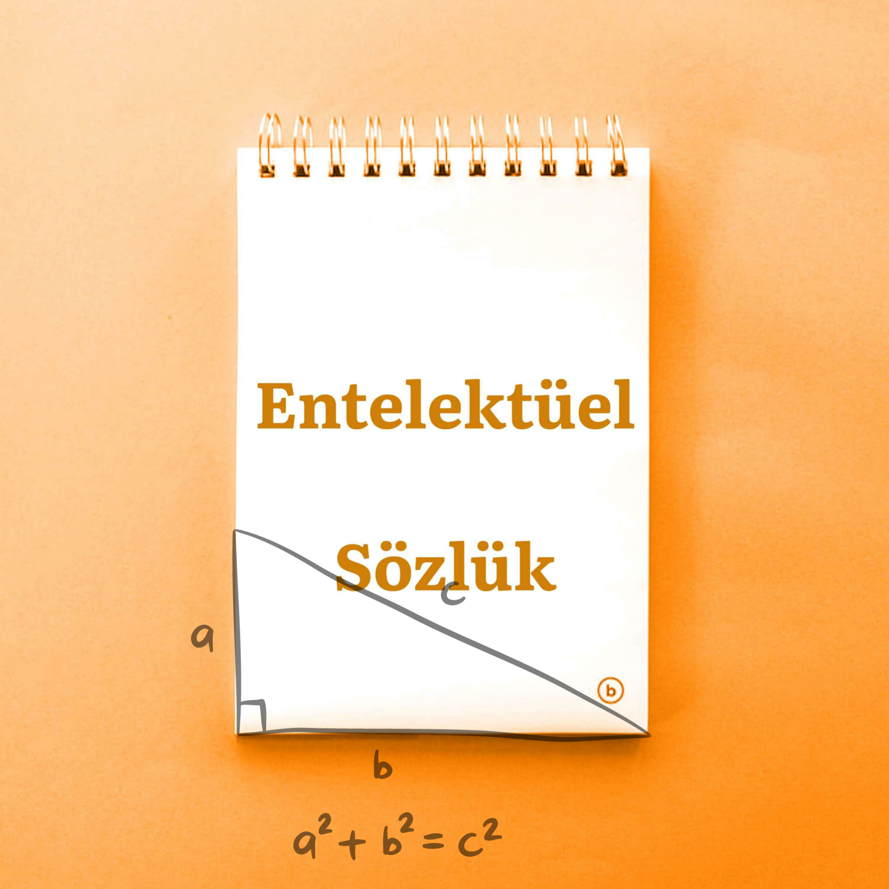 Entelektüel Sözlük