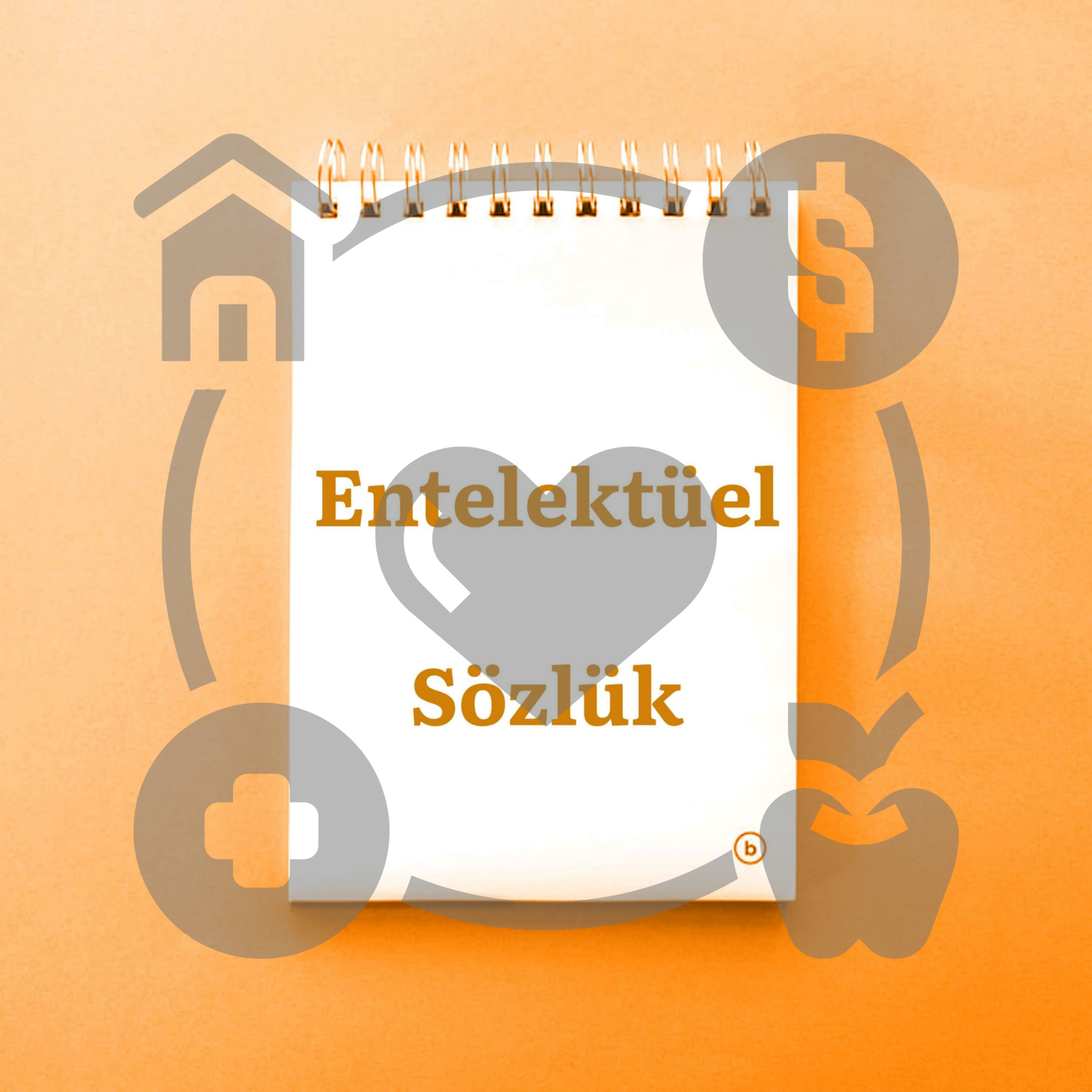 Entelektüel Sözlük