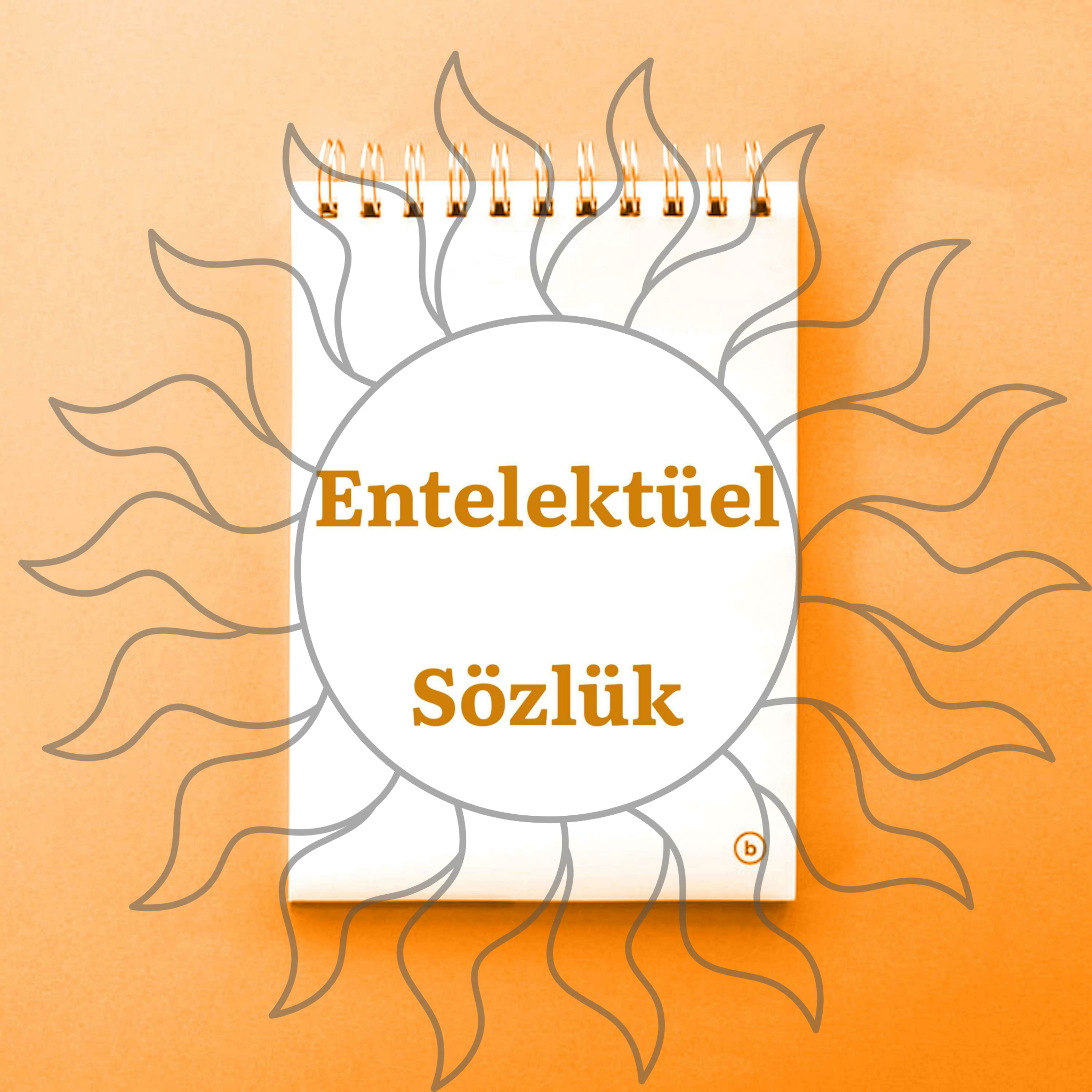 Entelektüel Sözlük