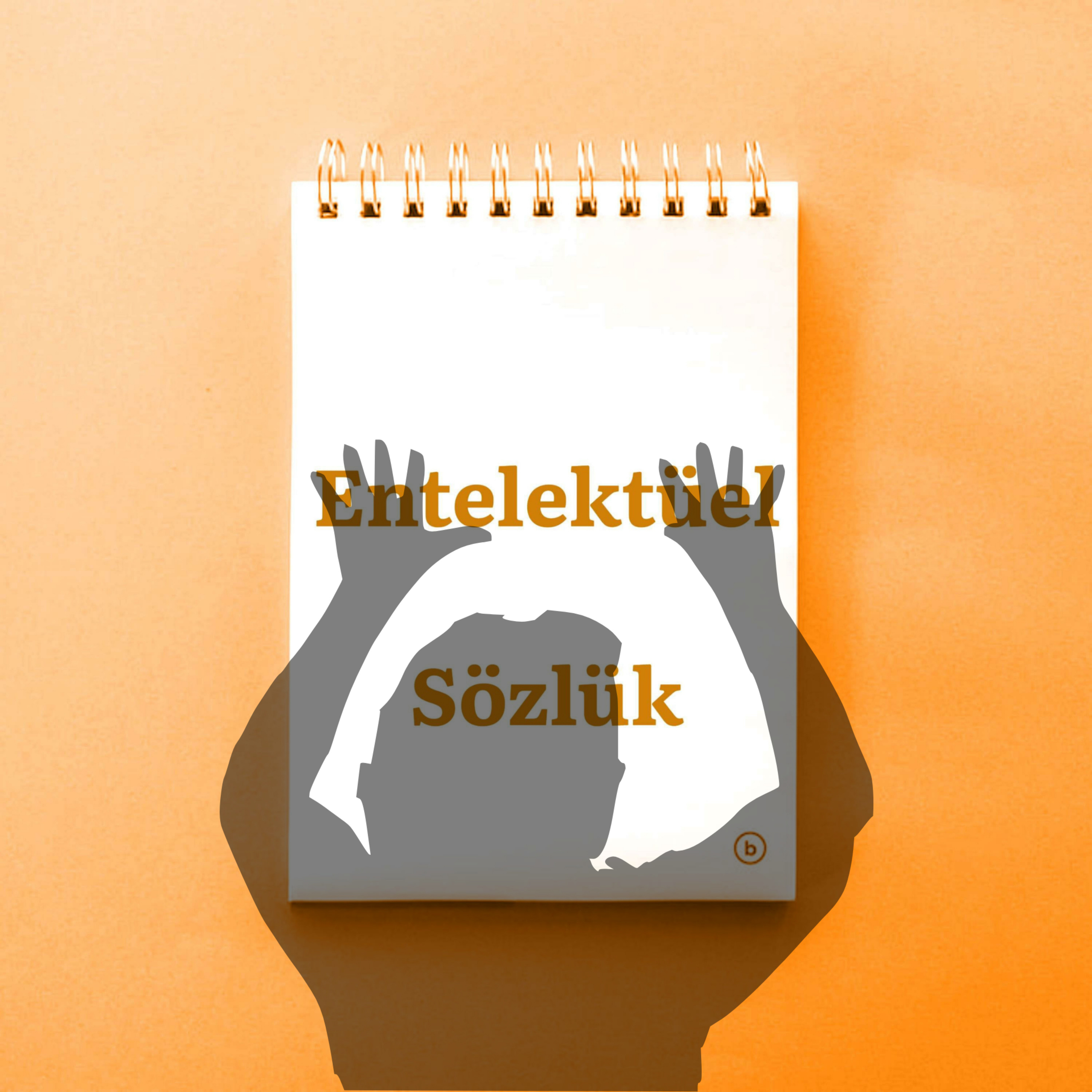 Entelektüel Sözlük