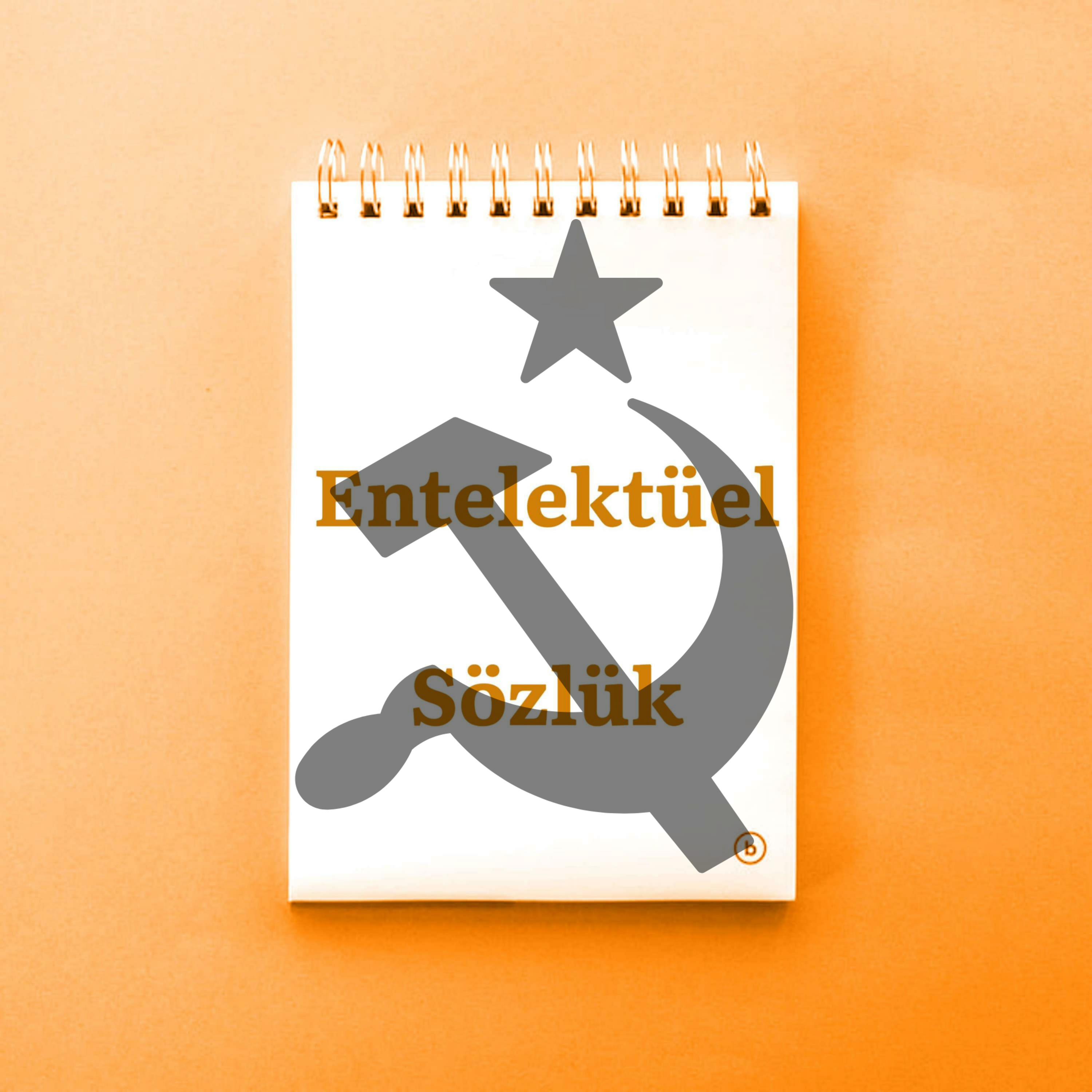 Entelektüel Sözlük