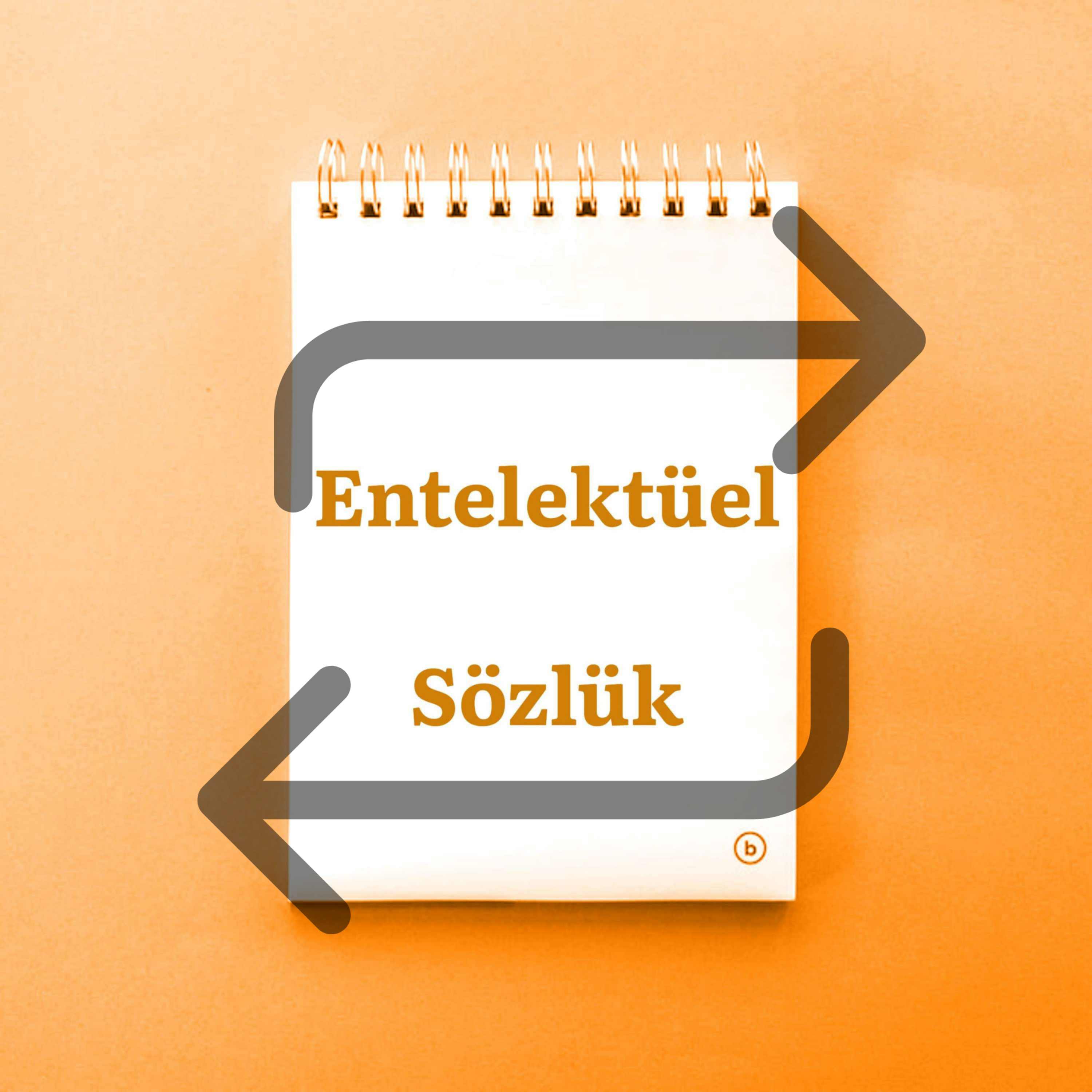 Entelektüel Sözlük