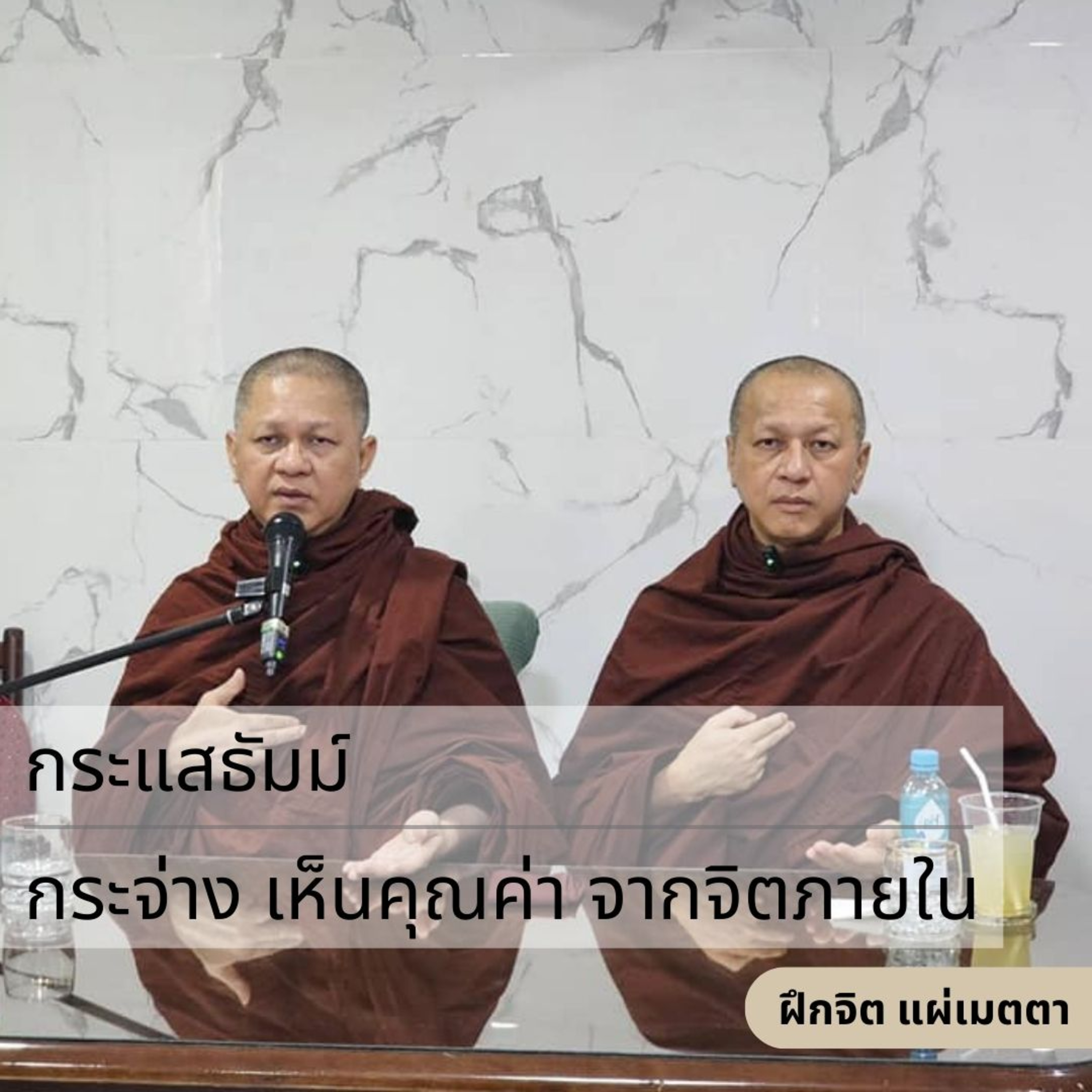 กระแสธัมม์ [ฝึกจิต แผ่เมตตา] - กระจ่าง เห็นคุณค่า จากจิตภายใน episode artwork