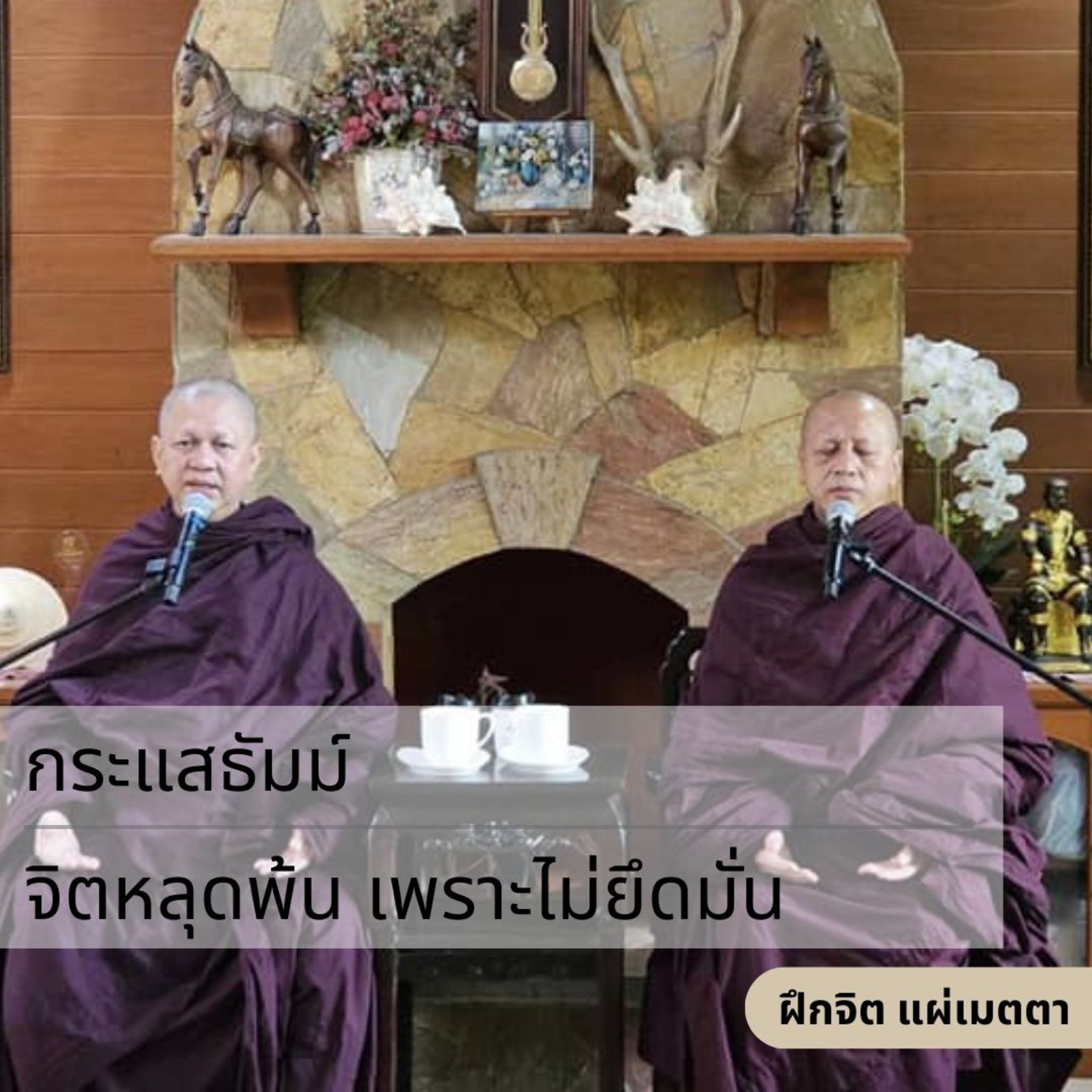 กระแสธัมม์ [ฝึกจิต แผ่เมตตา] - จิตหลุดพ้น เพราะไม่ยึดมั่น episode artwork