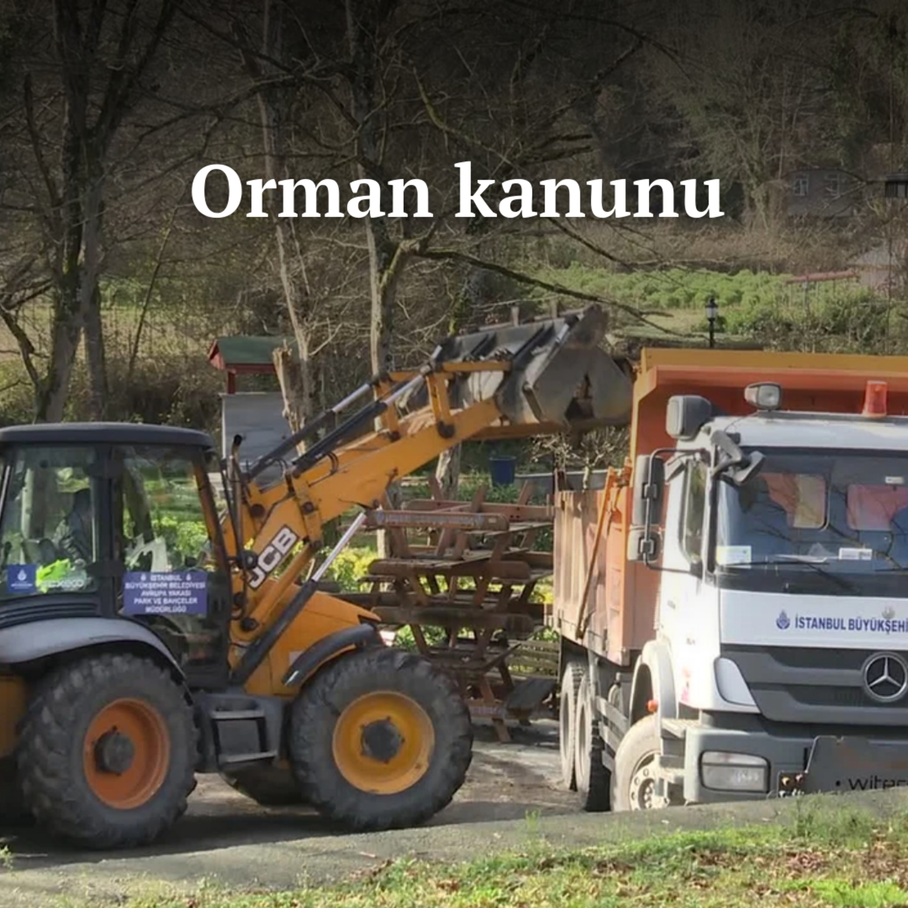 Orman kanunu | 24 Aralık 2024, Salı episode artwork