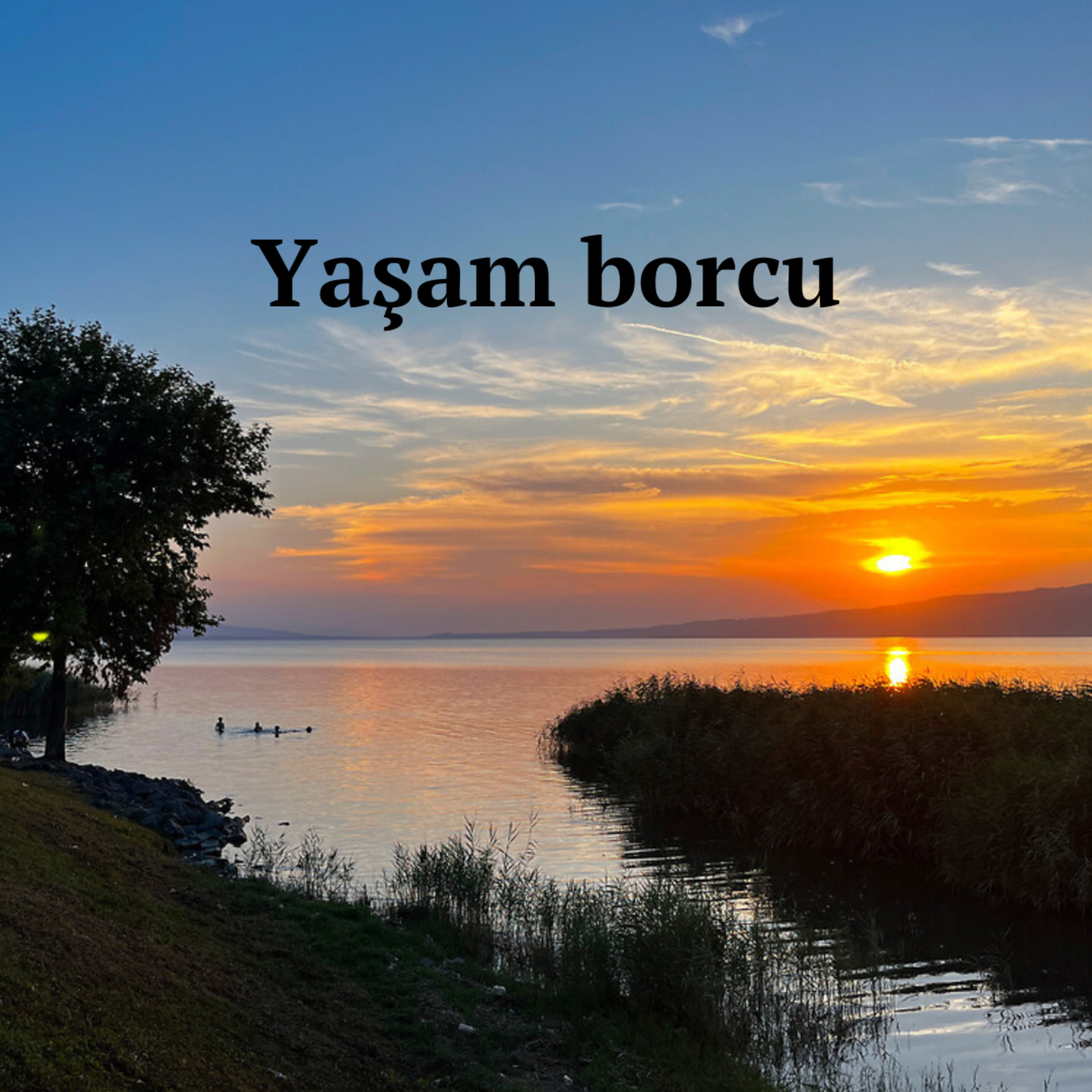 Yaşam borcu | 31 Aralık 2024, Salı episode artwork