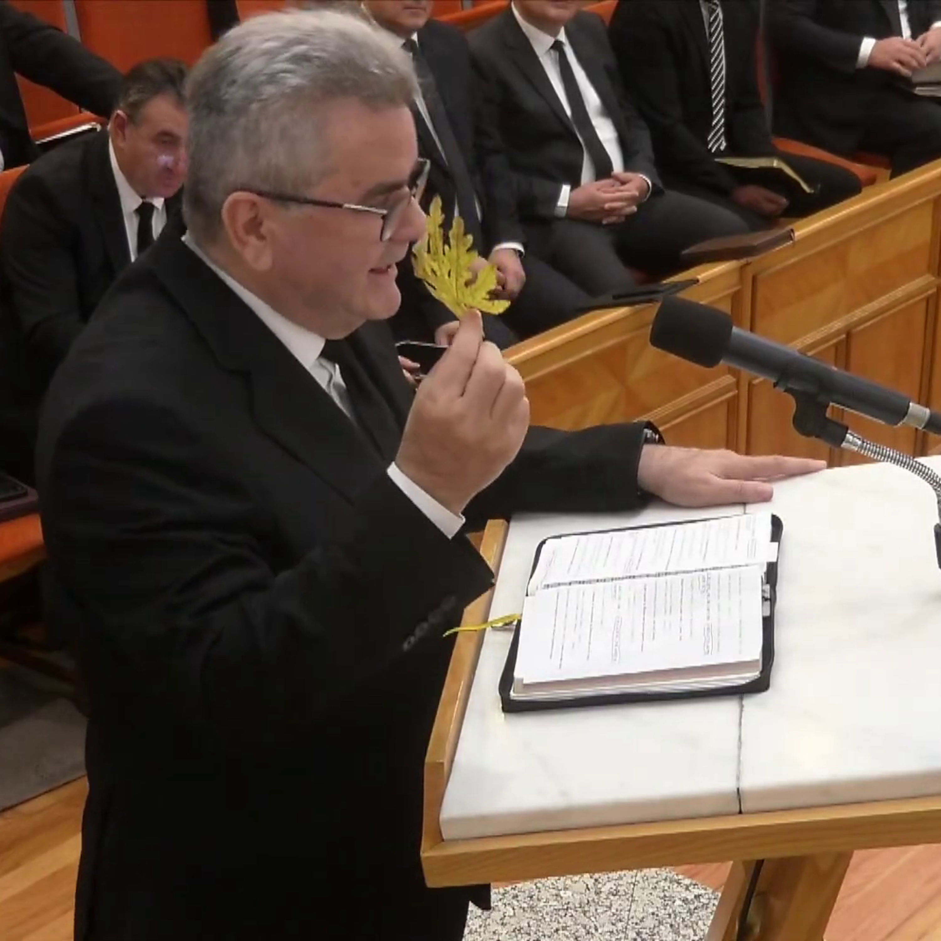 Fragilitatea vieţii - Nelu Filip Fragilitatea vieţii - Nelu Filip