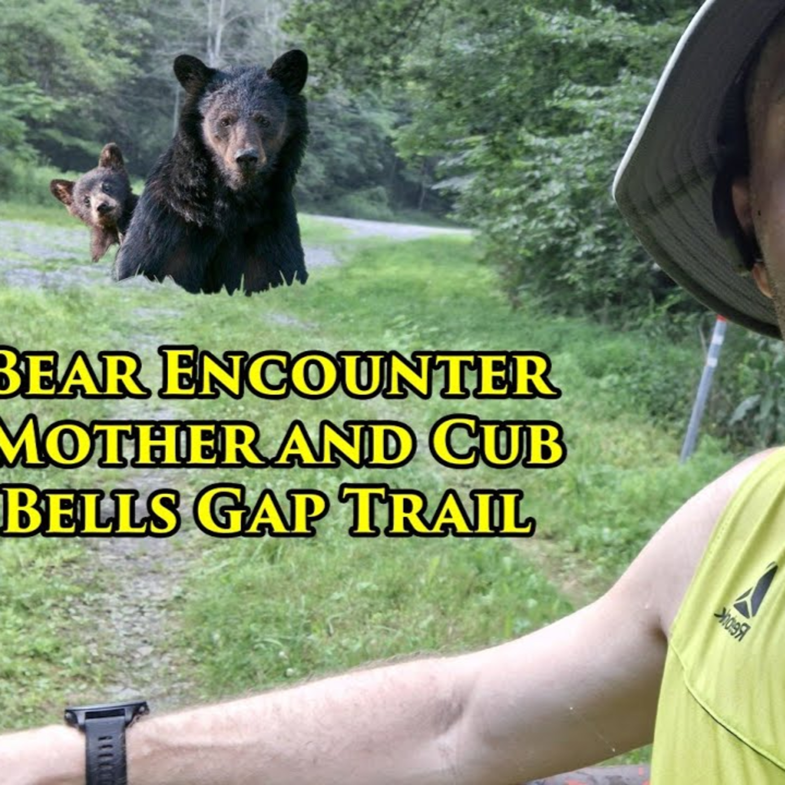 S4B85 Bear Encounter Mother and Cub