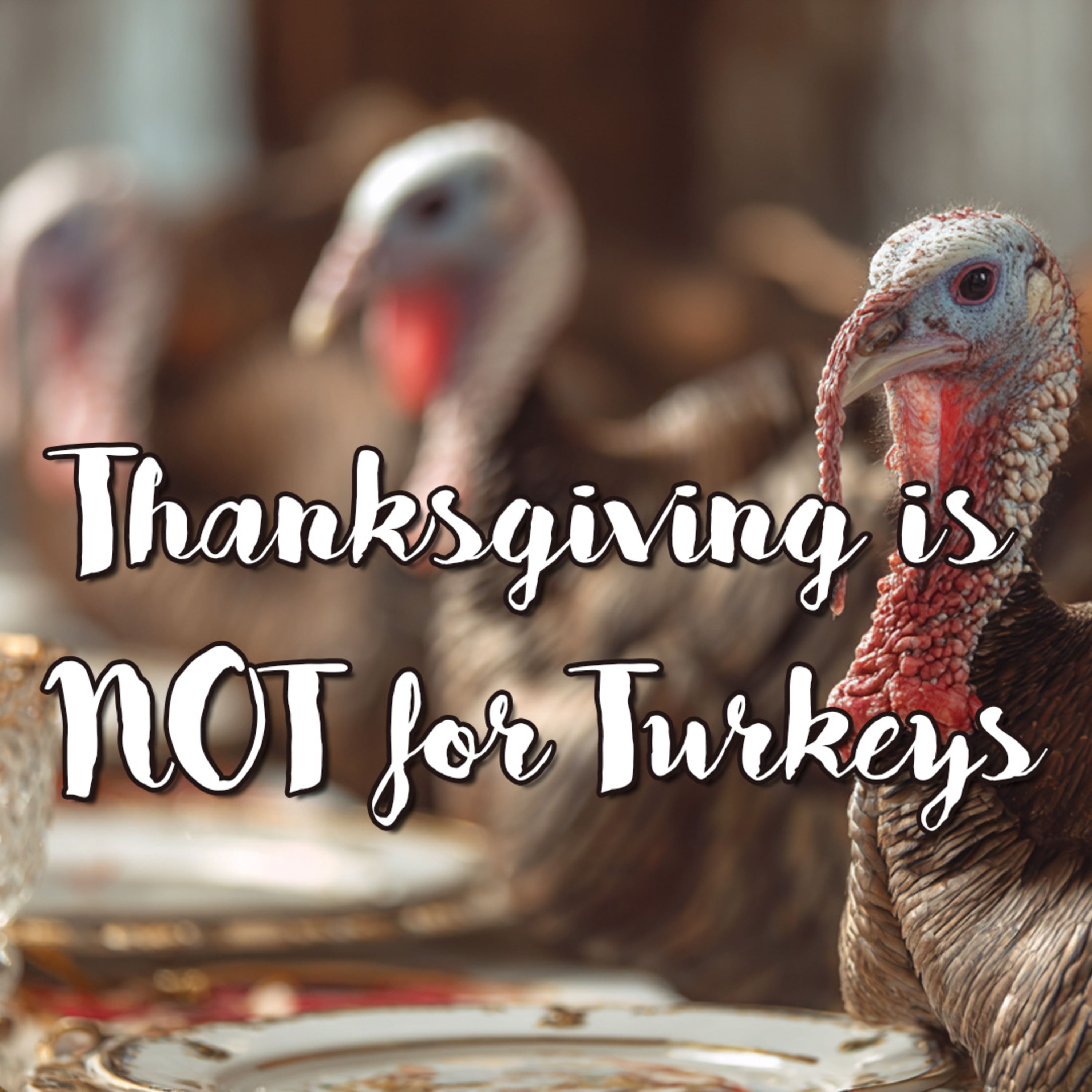 [434 in Motion] Thanksgiving is NOT for Turkeys (s1e6) - God's "A Plan" for Your Life (And Why You Need It) episode artwork