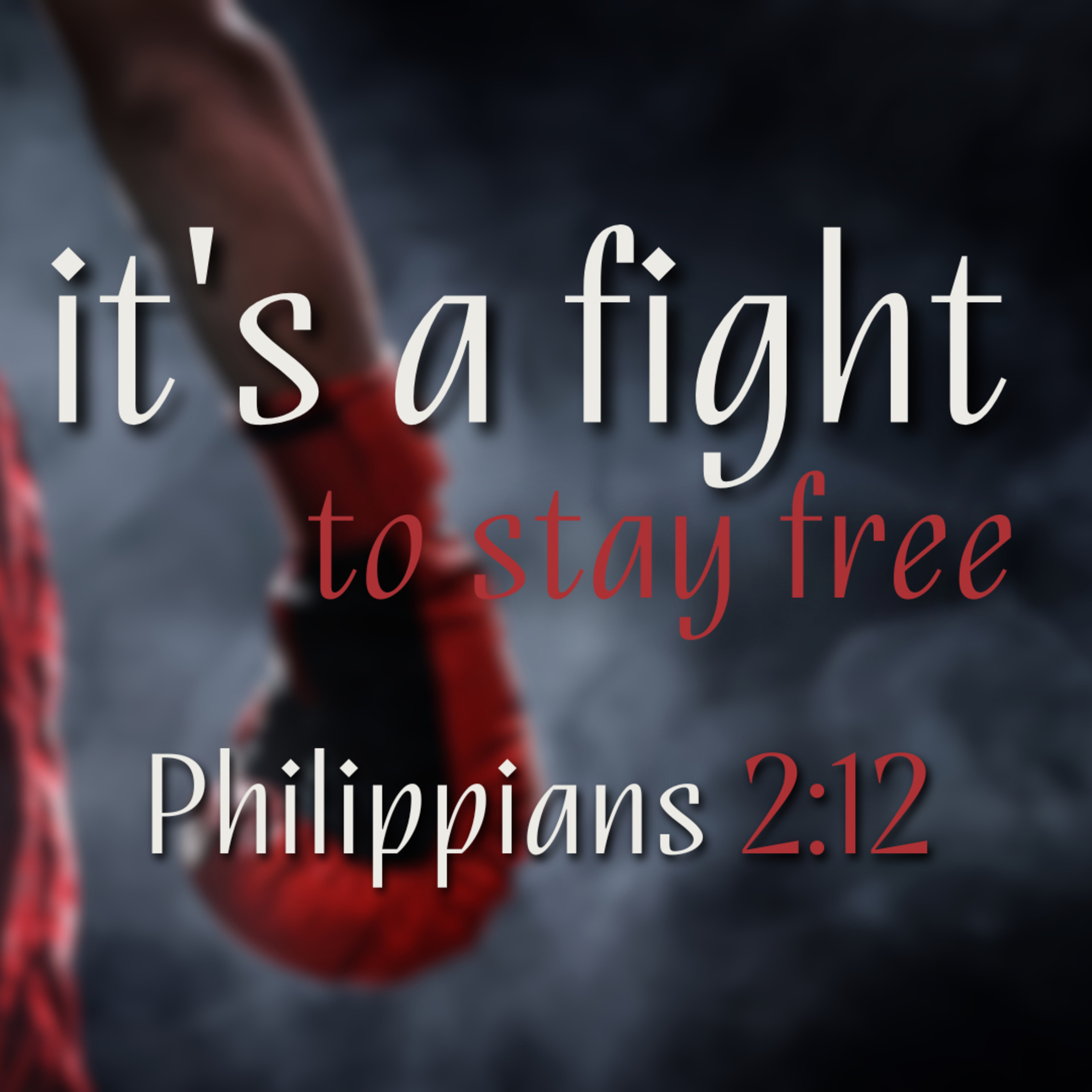 It's a Fight to Stay Free (Philippians 2:12) episode artwork