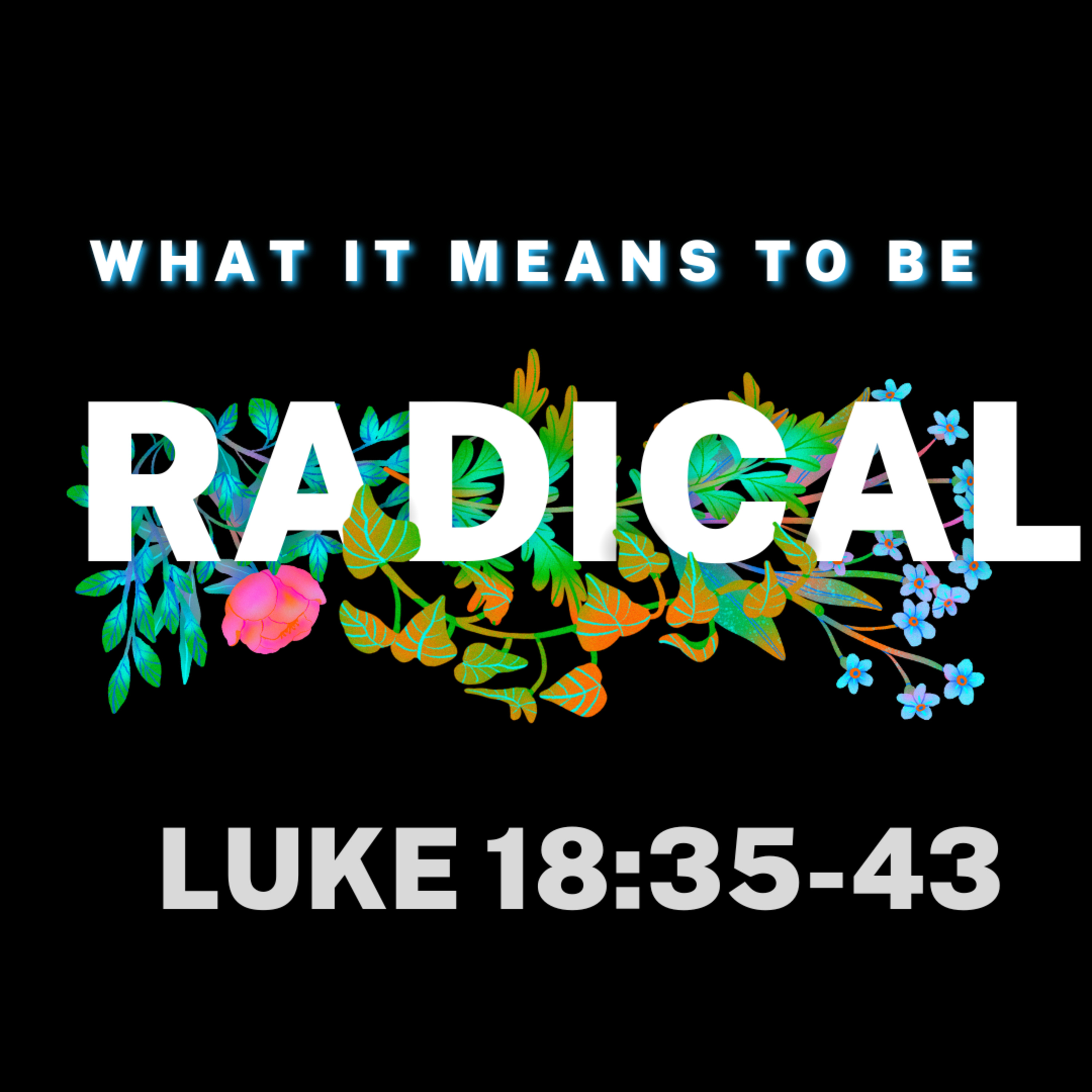What It Means to Be Radical (Luke 18:35-43) episode artwork
