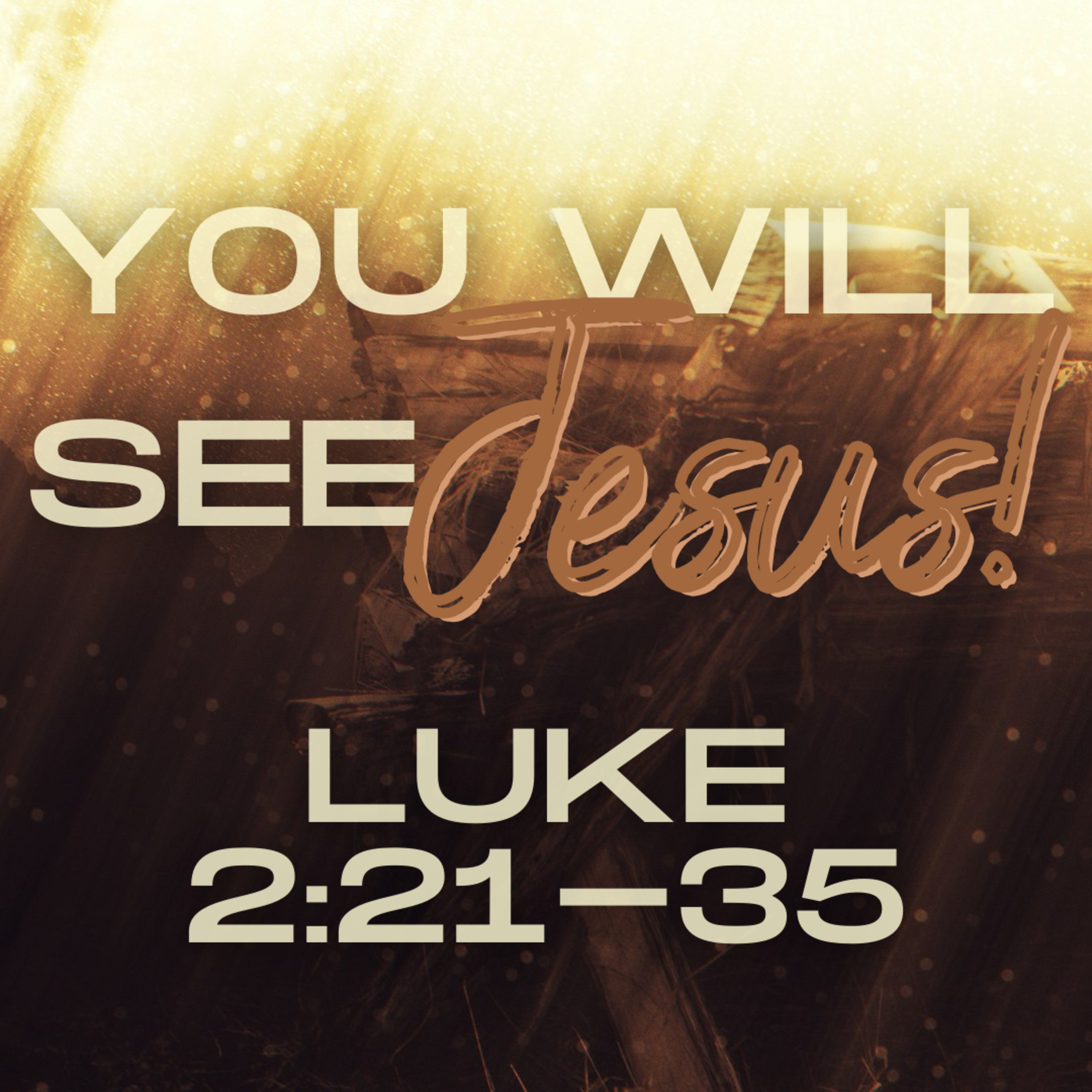 You Will See Jesus (Luke 2:21-35) episode artwork