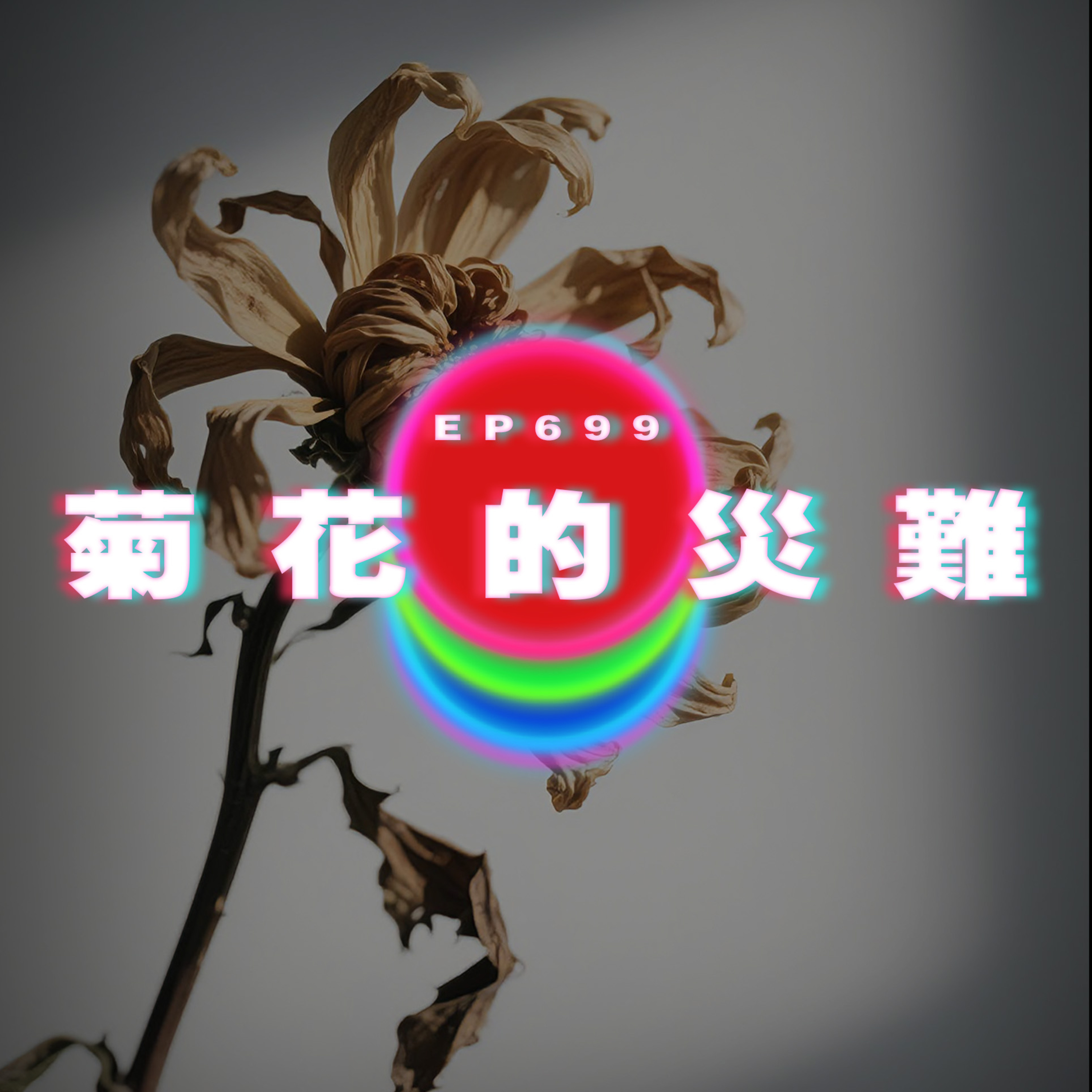 Ep699 不能公開的關係｜菊花的災難 episode artwork