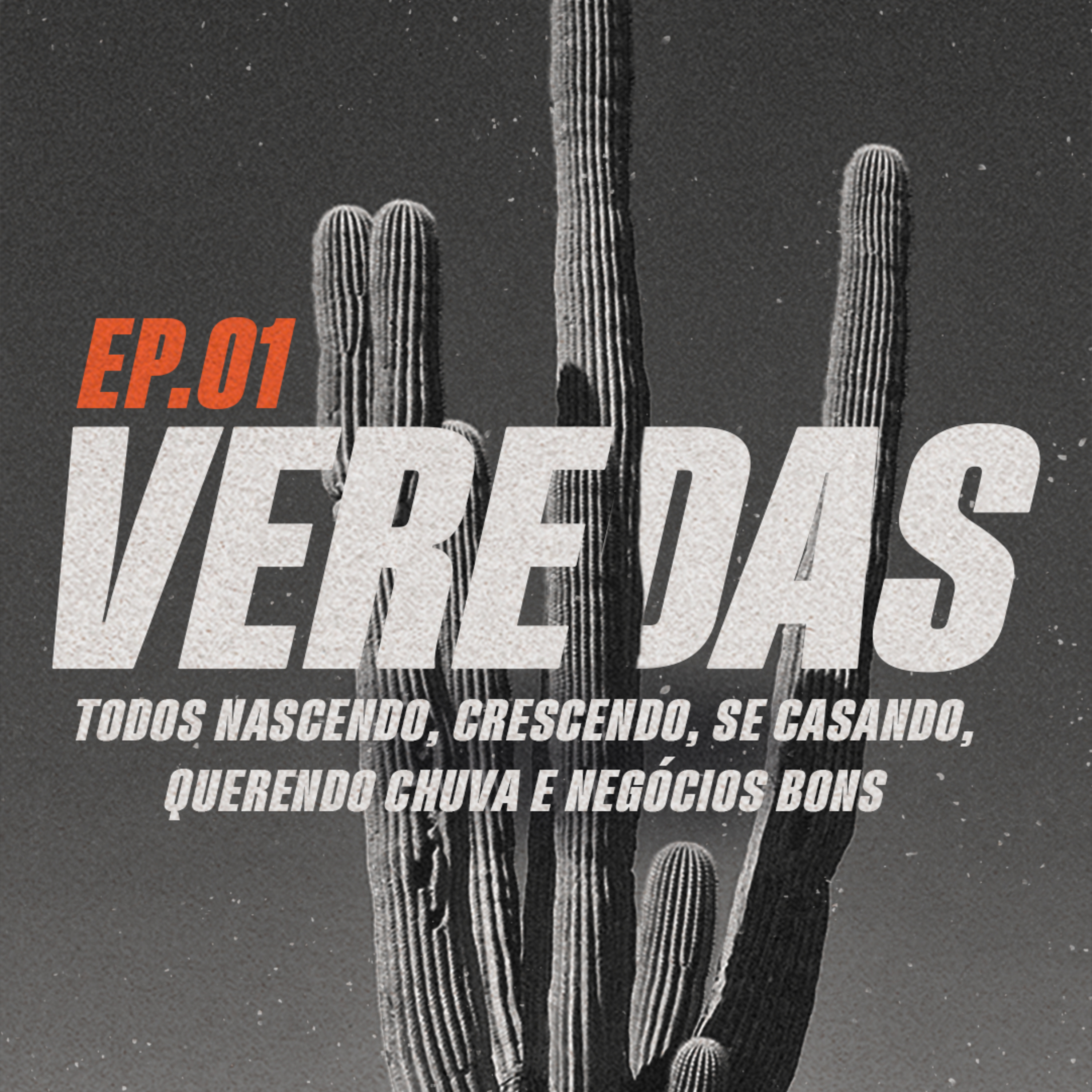 Veredas - Todos nascendo, crescendo, se casando, querendo chuva e negócios bons episode artwork