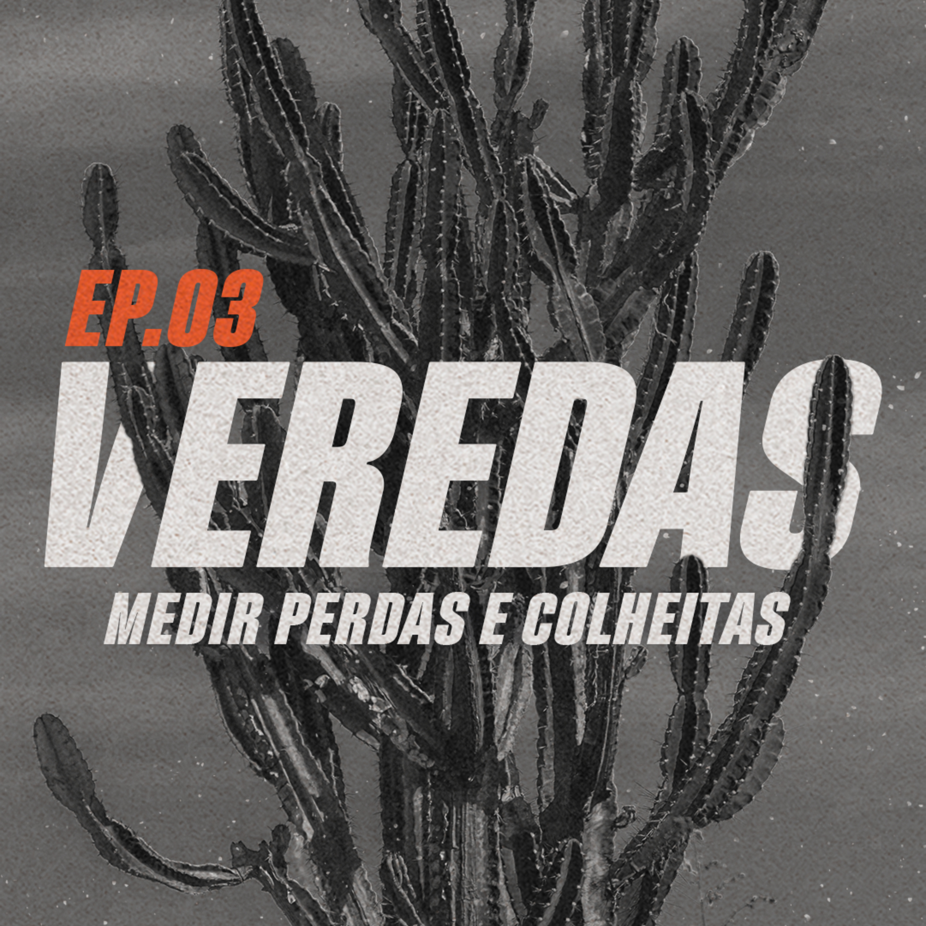 Veredas | “Medir perdas e colheitas” 3 de 8 | Marcos Apolônio episode artwork