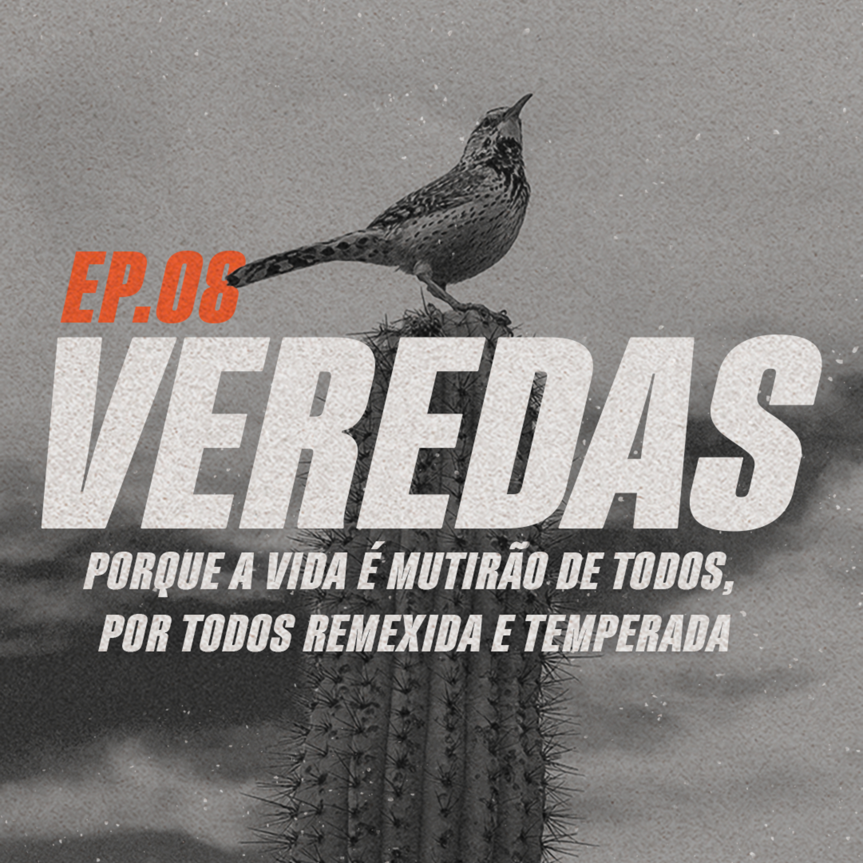 Veredas | “Porque a vida é mutirão de todos, por todos remexida e temperada” 8 de 8 | Aqueldan episode artwork