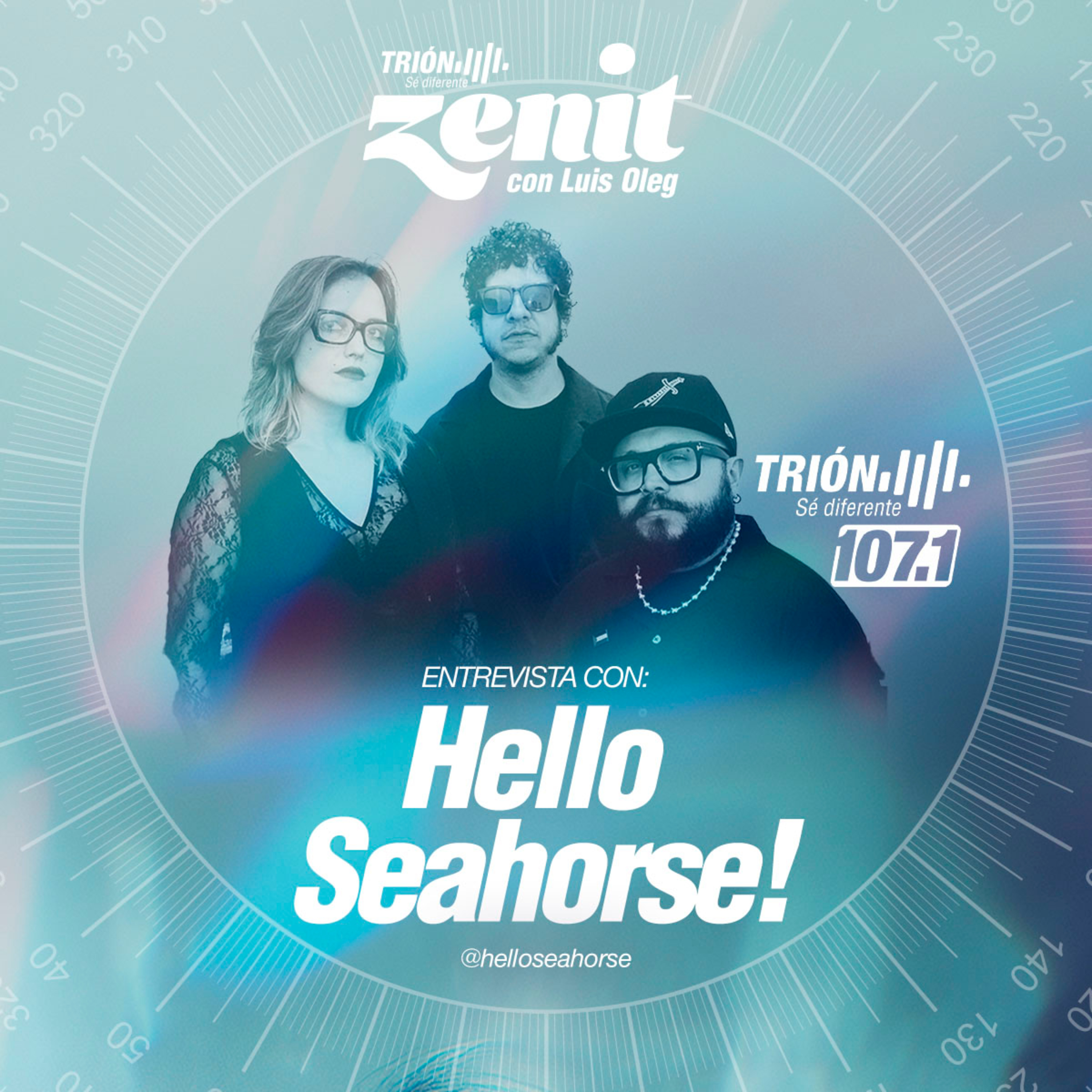 Entrevista con Hello Seahorse!