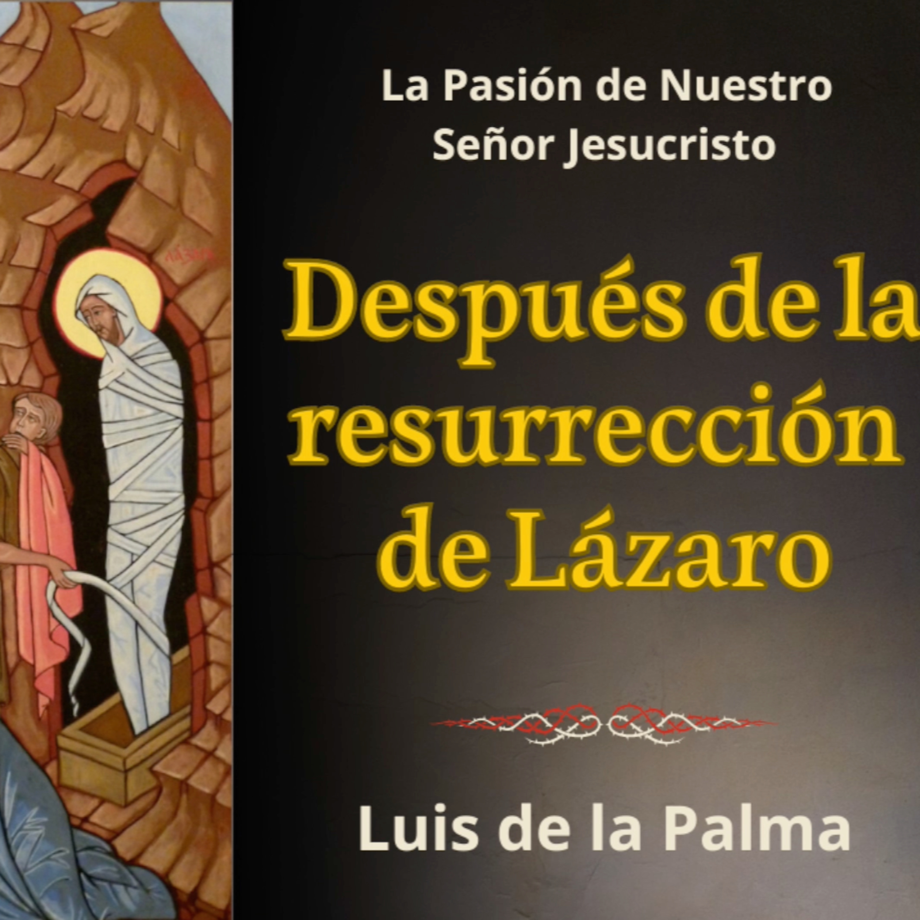 historias para Catecismo FSSPX