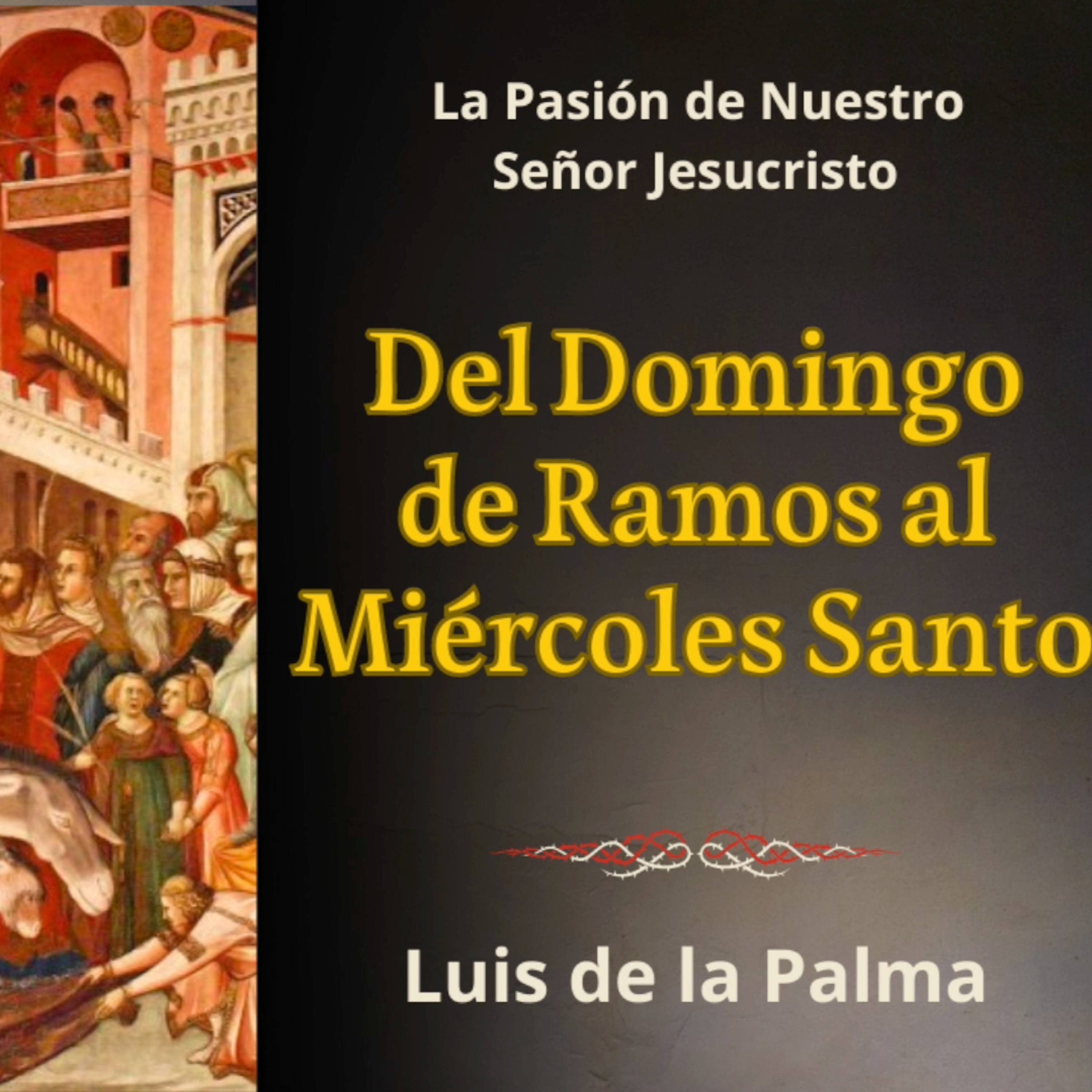 historias para Catecismo FSSPX