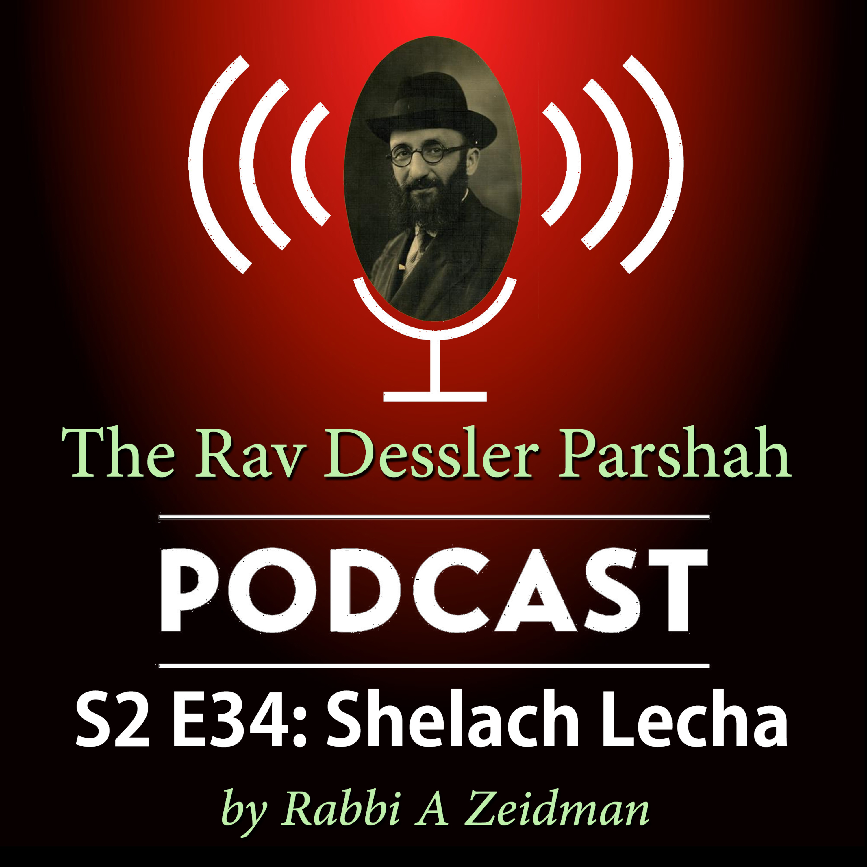 Shelach: Strings Attached - What Tzitzis Are Really Saying episode artwork