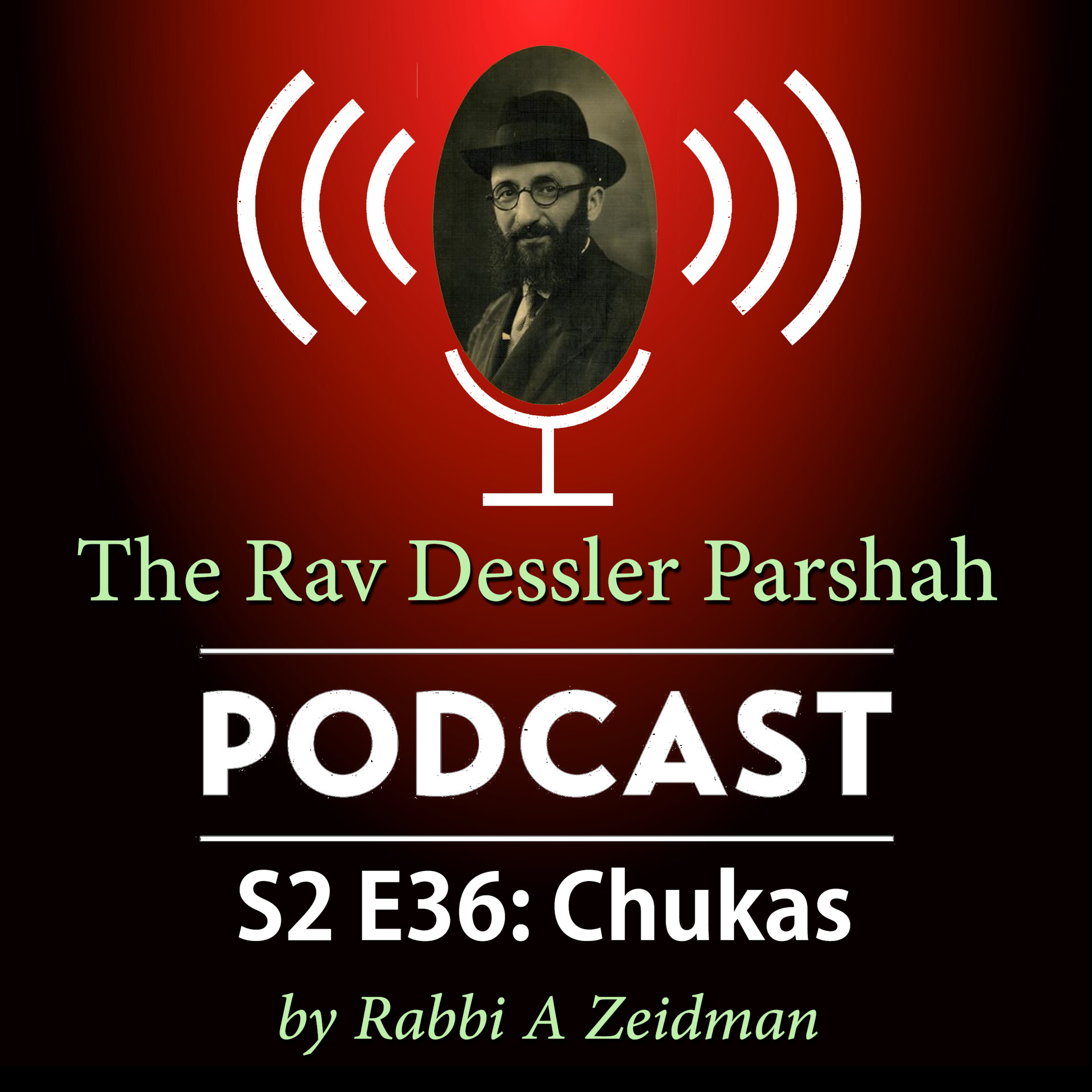 Chukas: The Rebbe, the Student, and the Space Between episode artwork