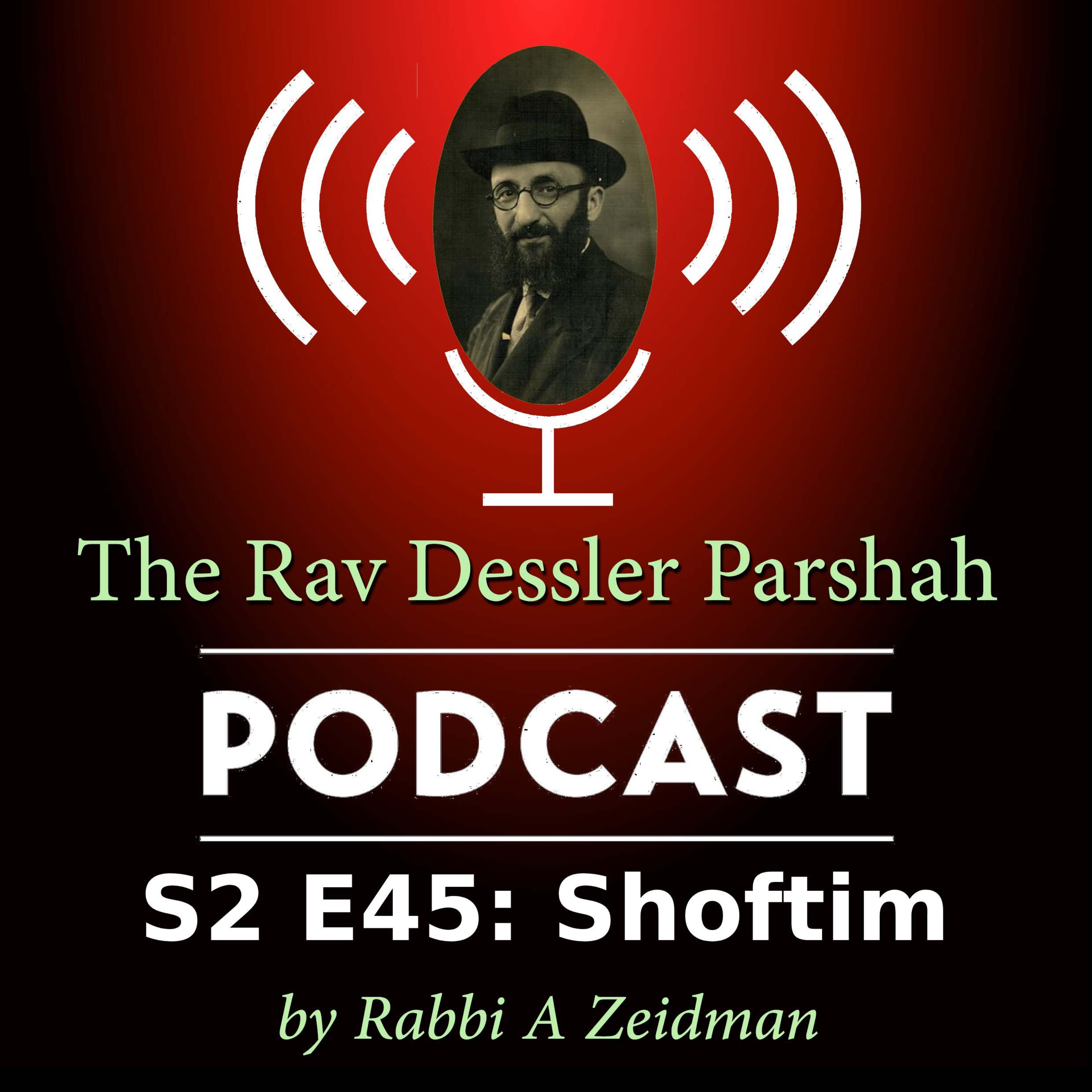 Shoftim: Why the Killer Goes Free When the Kohen Gadol Dies episode artwork