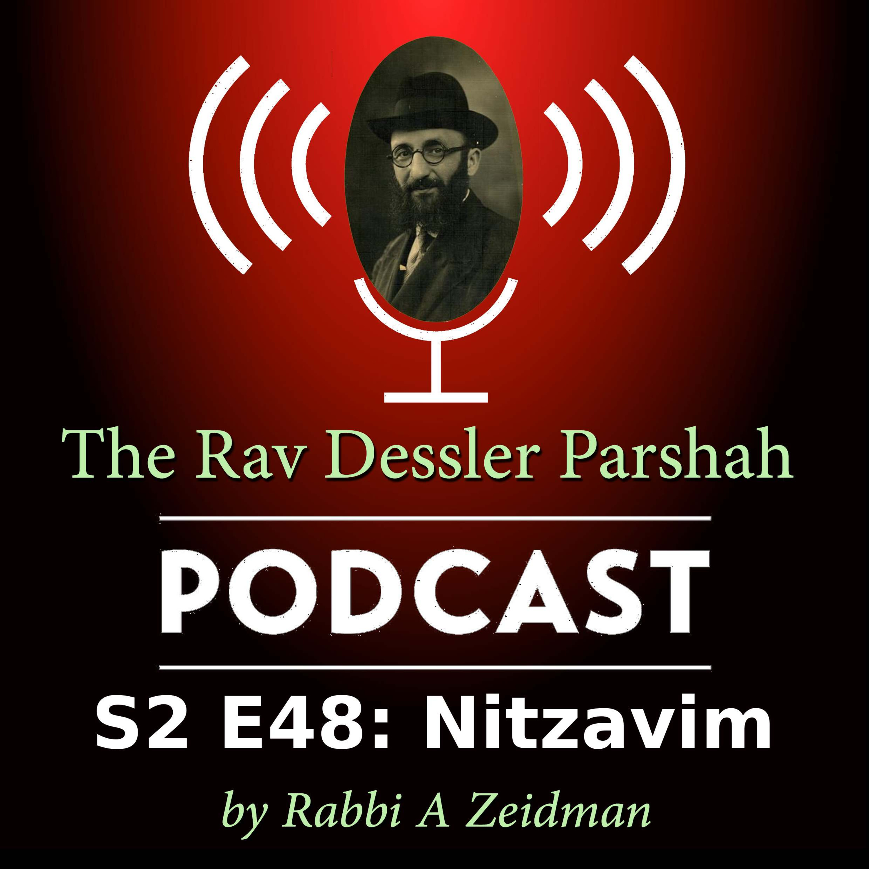Nitzavim: Will We Have Free Will When Moshiach Comes? episode artwork