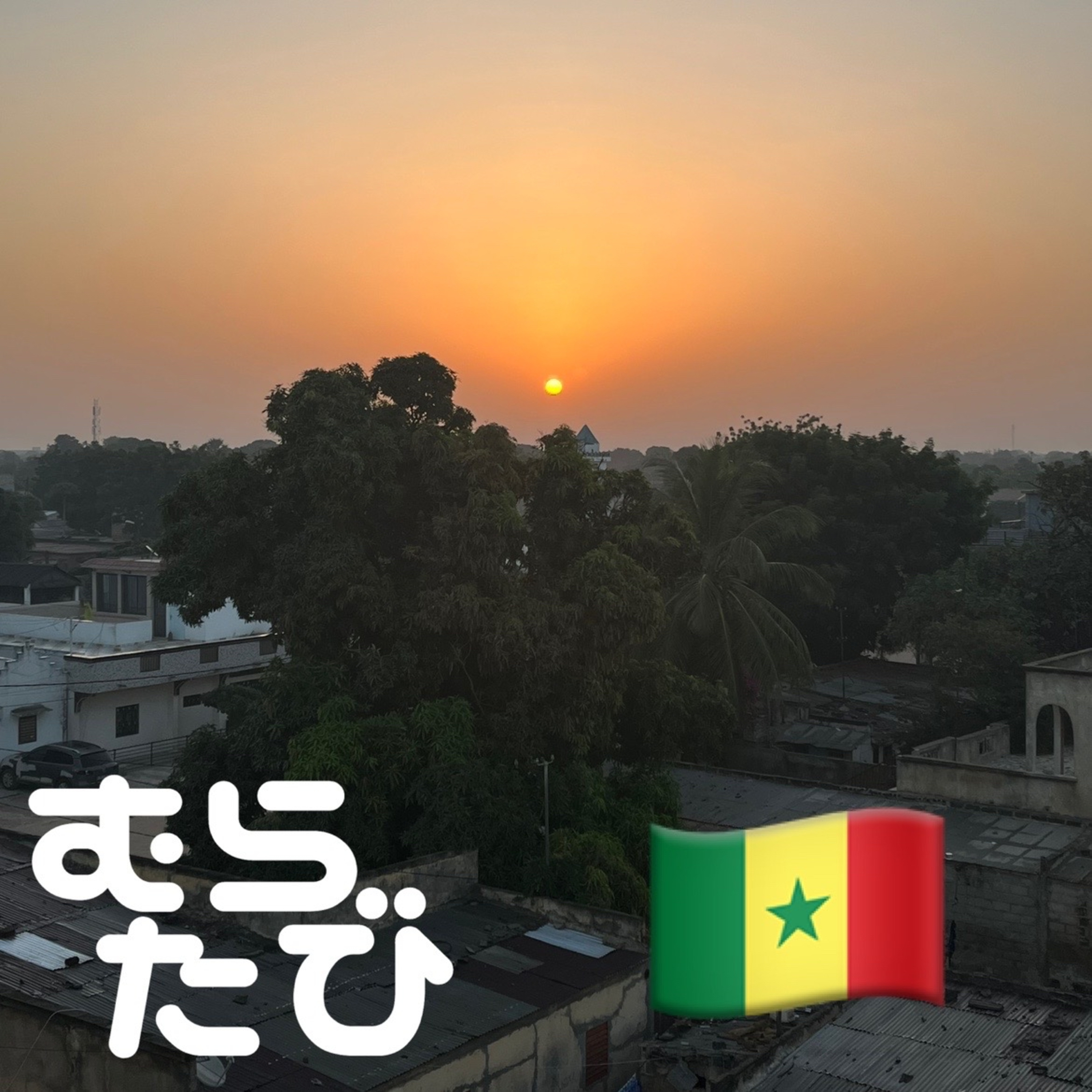 #08 セネガル🇸🇳アフリカのおもてなしの国へ 20241123