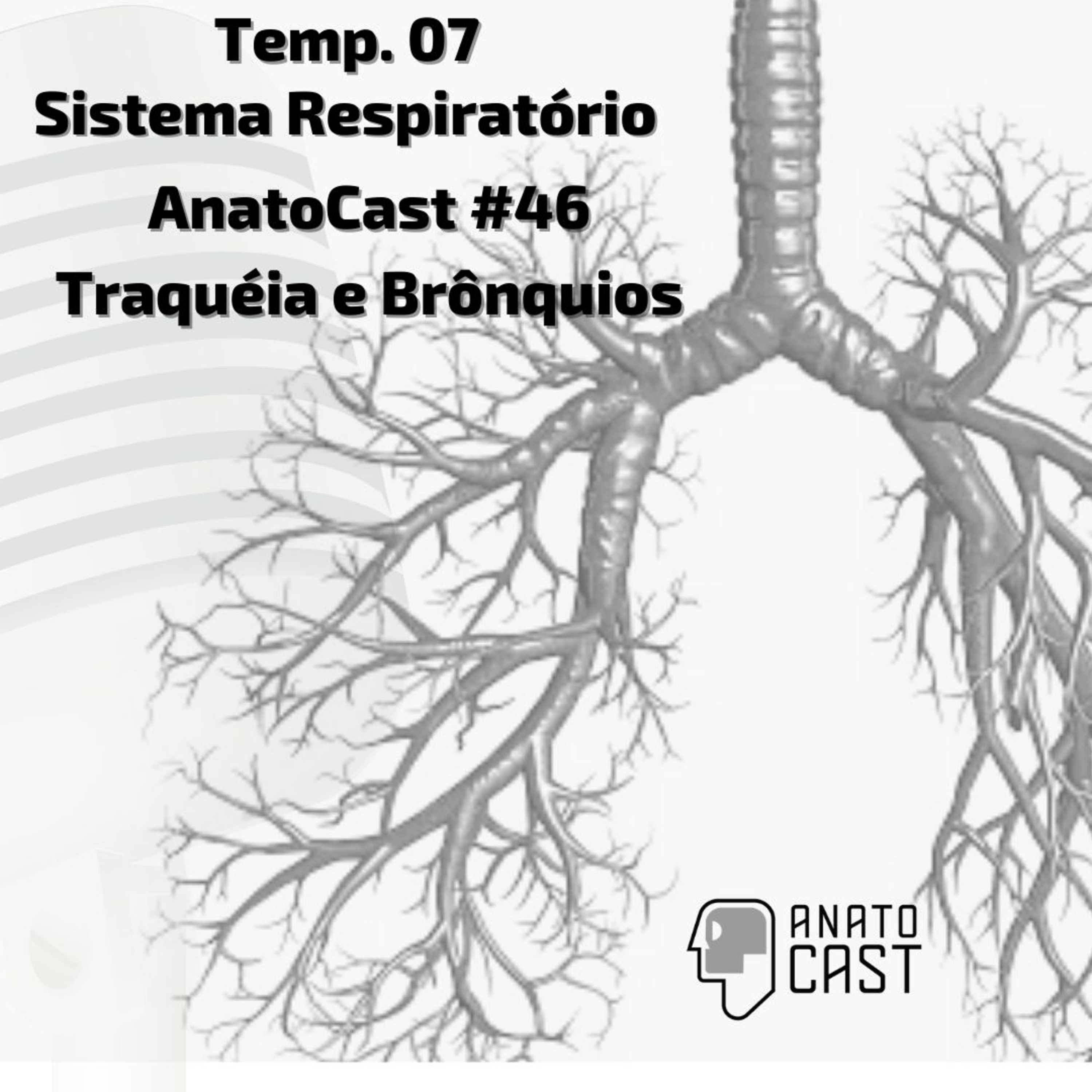 AnatoCast