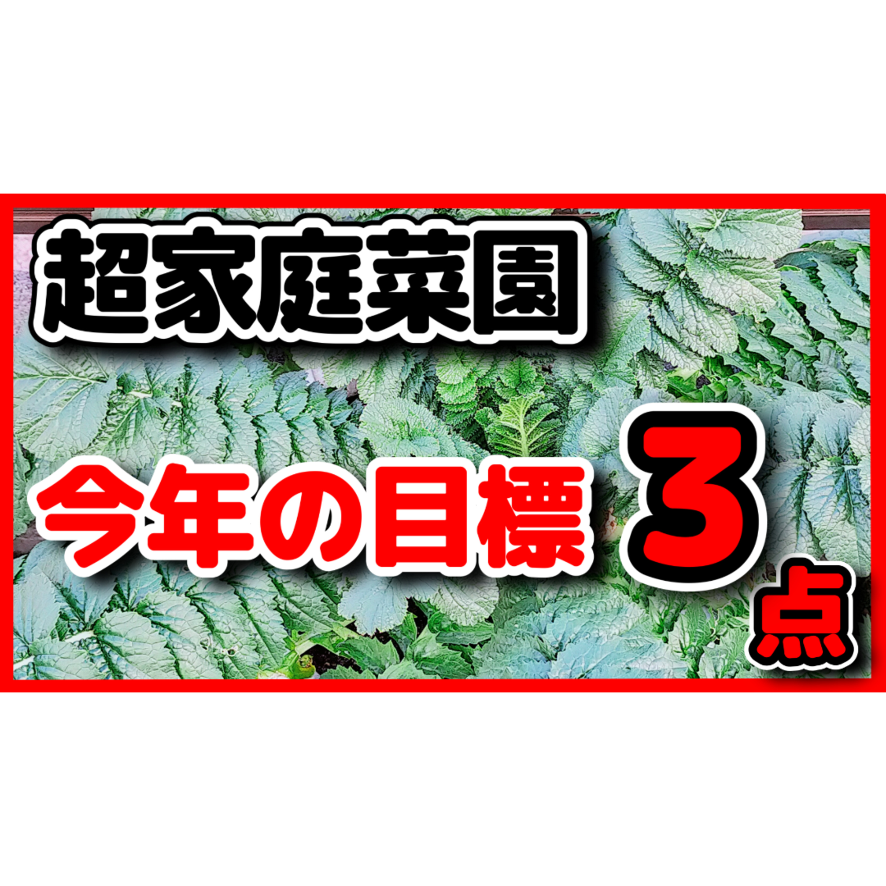 2026年あけおめ・家庭菜園のリアル、今年の目標3つ 2026年あけおめ・家庭菜園のリアル、今年の目標3つ